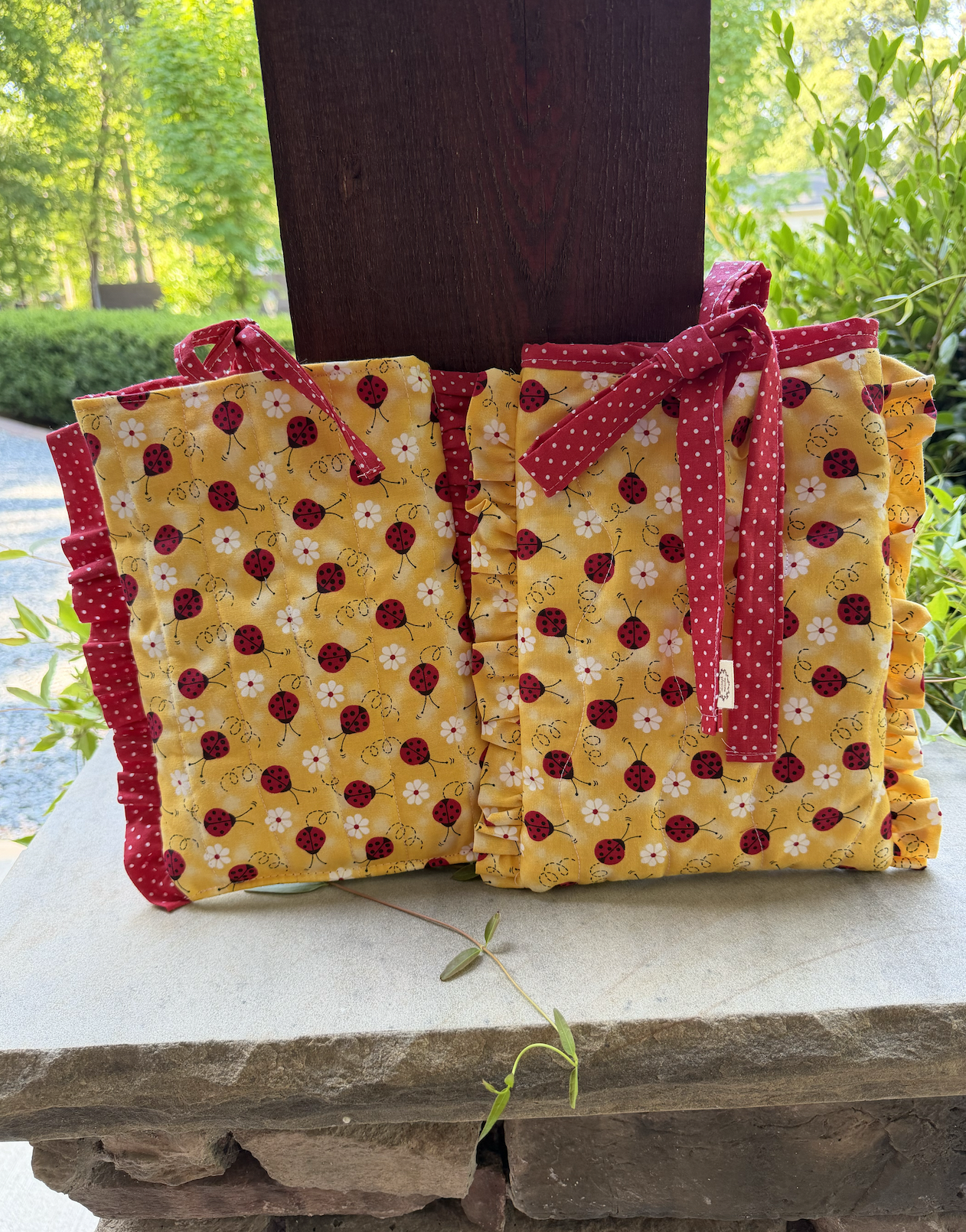 Ladybug Book Holder