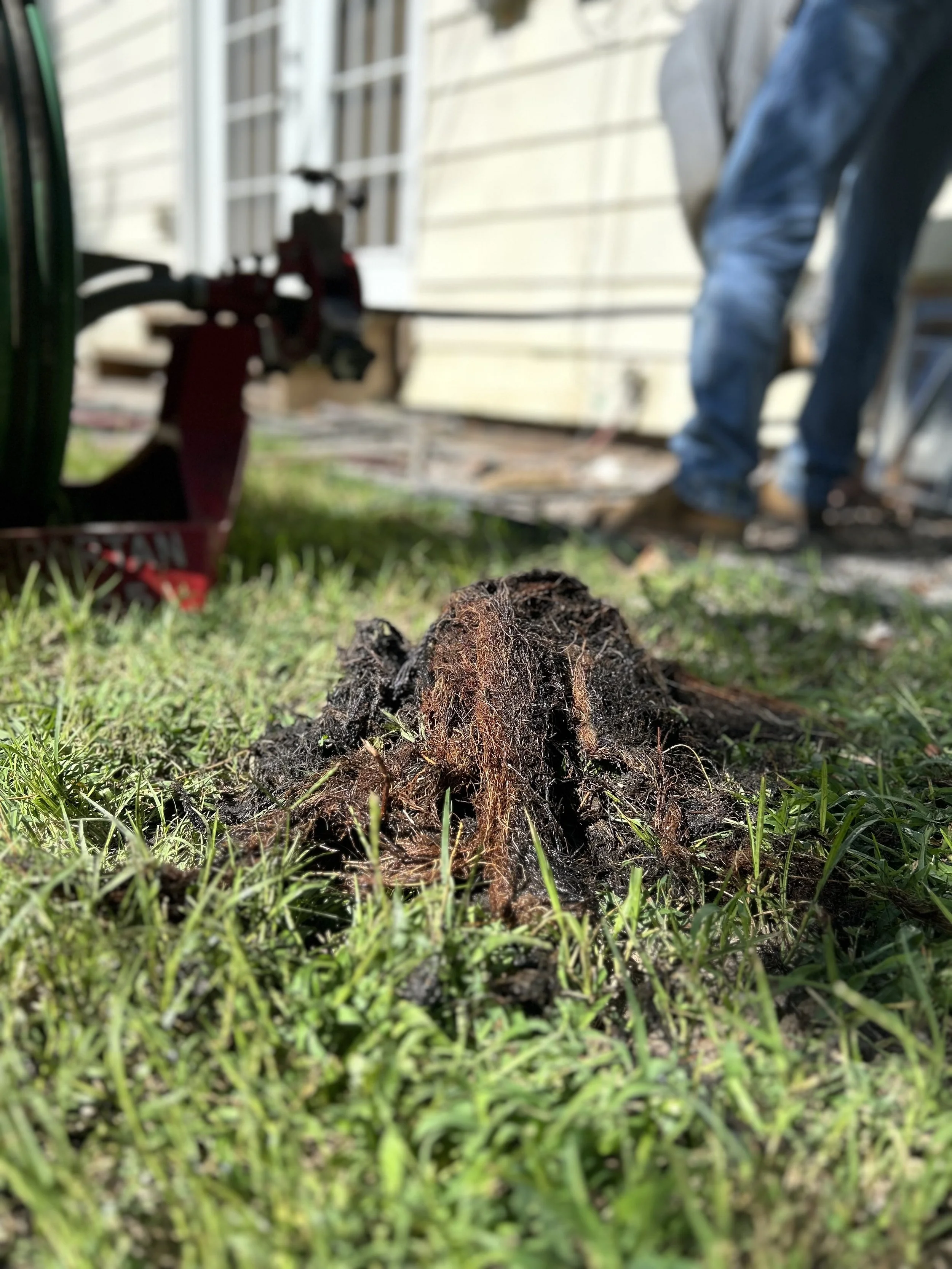 Close-up of a decomposing tree root on grass ground with blurred background of a house wall, a person in jeans, and gardening tools.