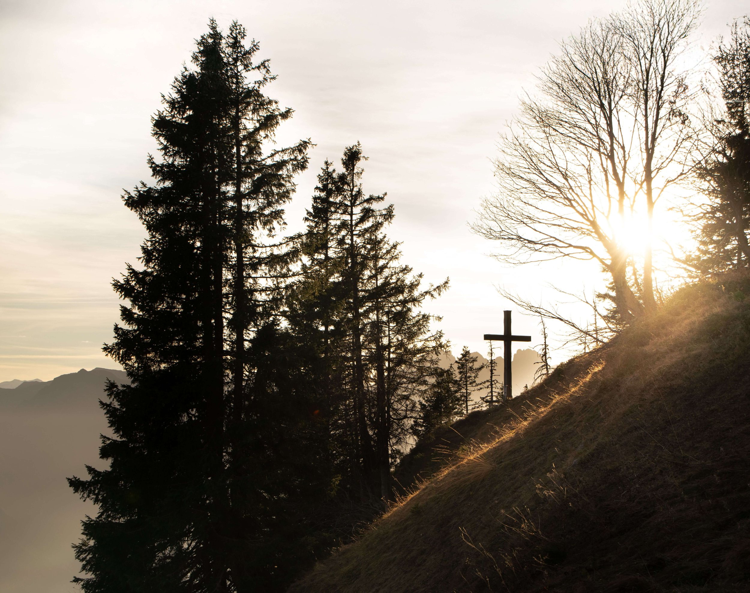 A cross stands on a hillside among trees as sunlight shines across the landscape. How can trauma therapy help you reconnect with safety, stability, and hope? A Christian therapist in Mill Creek, WA, provides faith-informed support for healing.