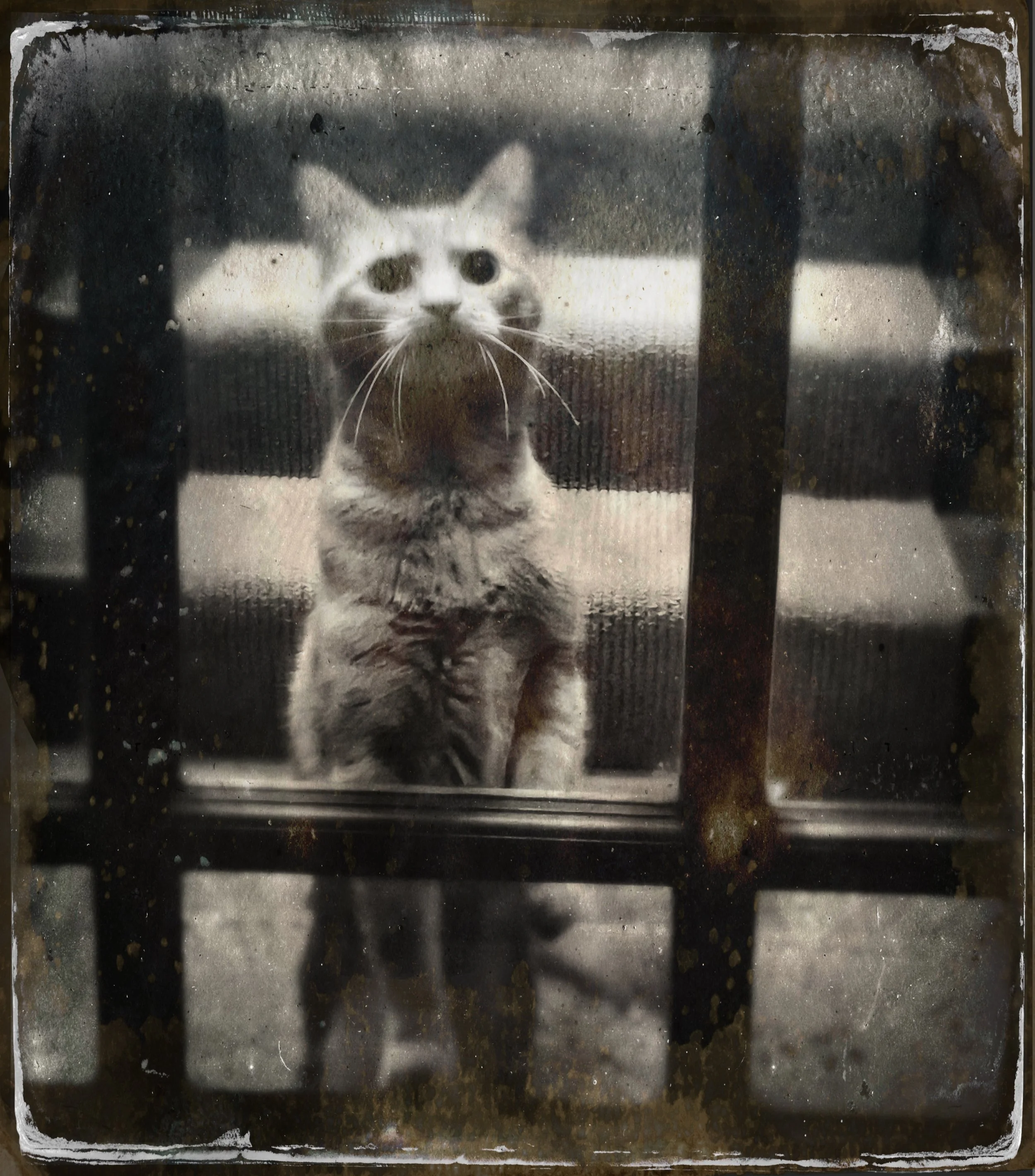 You Came Back