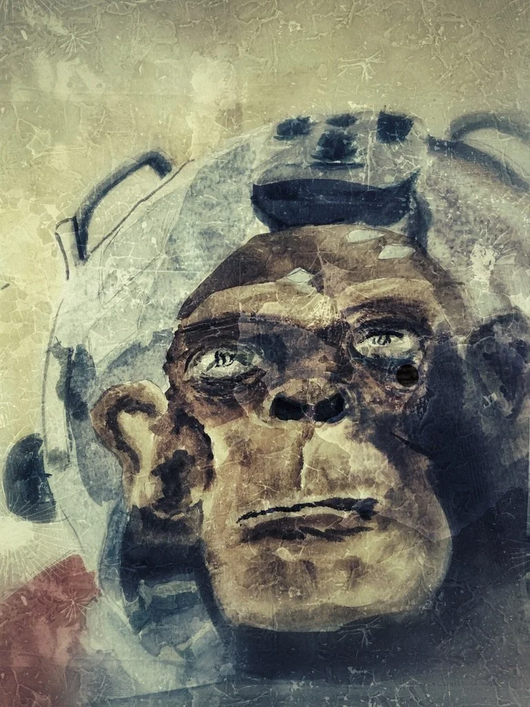 This monkey's gone to heaven and returned smarter