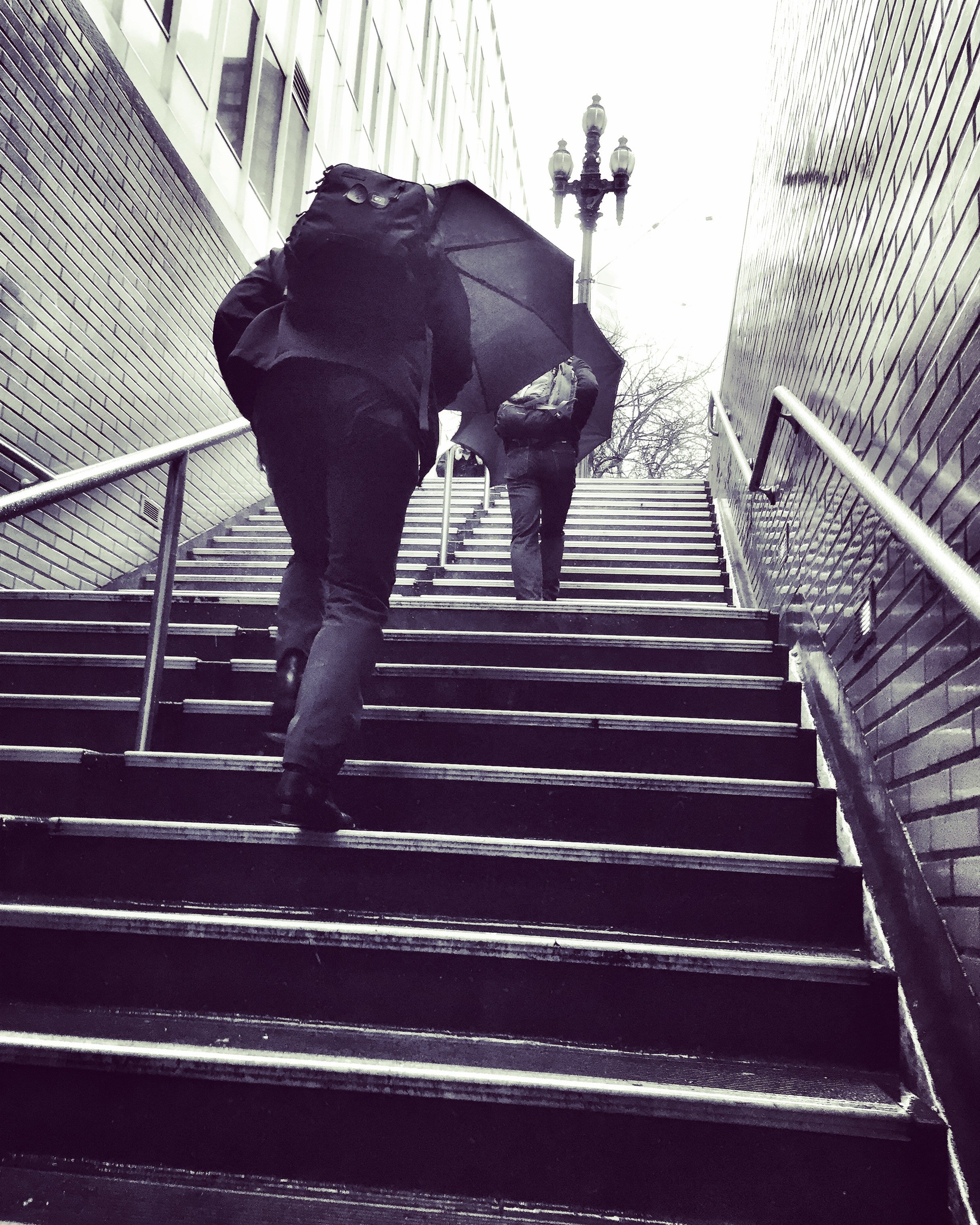 People walking up outdoor stairs holding umbrellas in rainy weather, with buildings and a street lamp in the background.