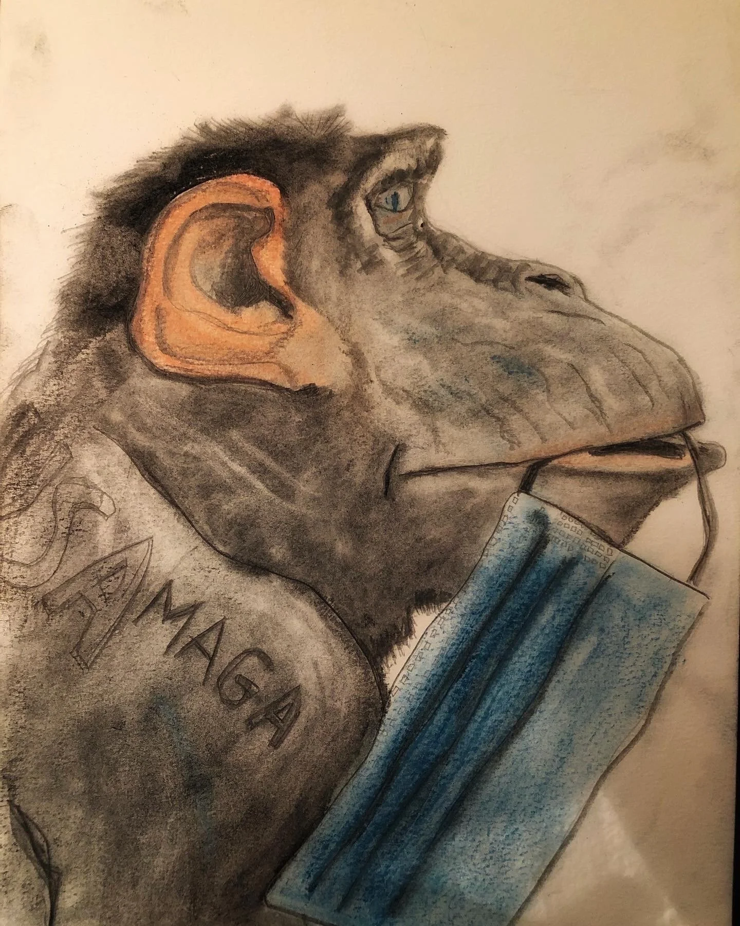 Monkey Mask.jpeg
