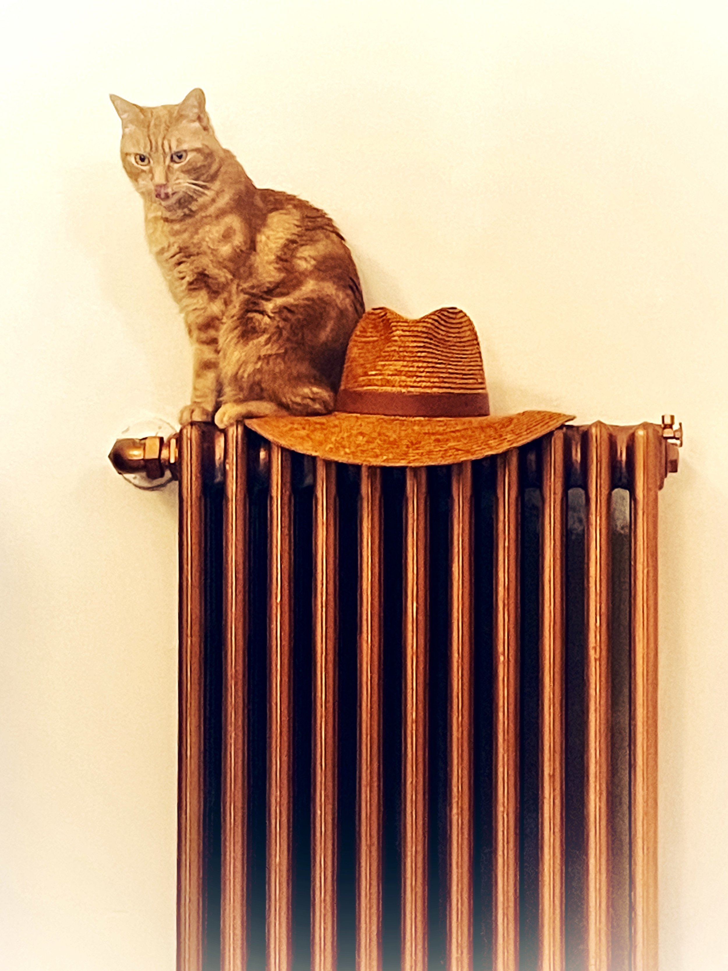 A ginger tabby cat sitting on a wooden radiator cover, with a straw hat beside it, against a plain wall background.