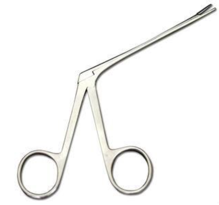 A pair of surgical scissors, likely used for medical or dental procedures, made of metal with rounded finger holes.