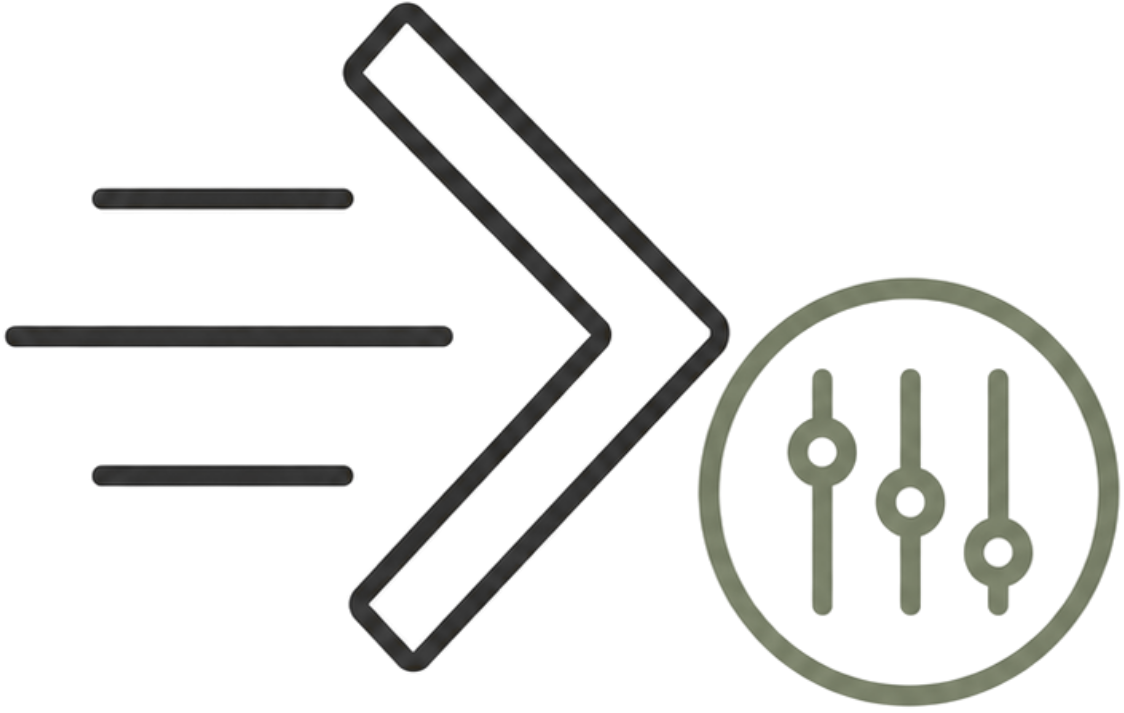 Implement the financial plan and adjust the strategy over time
