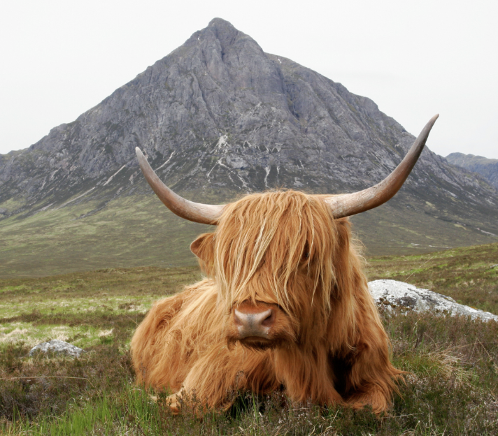 Keeping the ‘Scotch’ in Scotch Whisky.