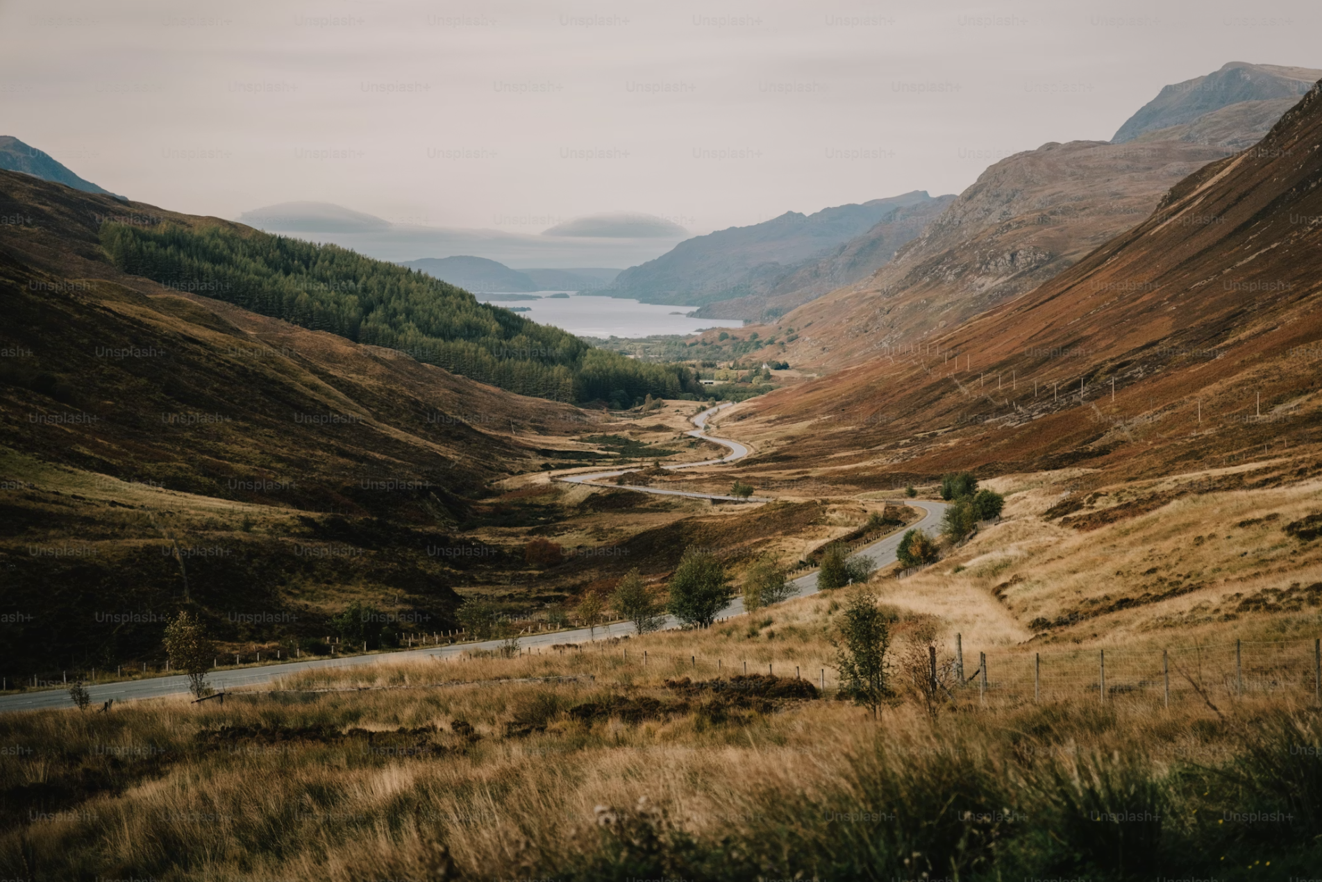 A winding road through a hilly Scottish landscape with dry grass, scattered trees, green forests, a lake in the distance, and mountains under a cloudy sky.
