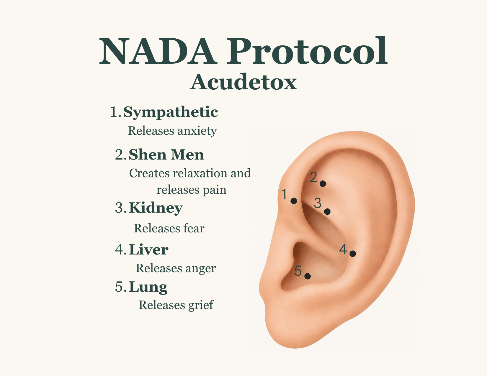 Acudetox - Group