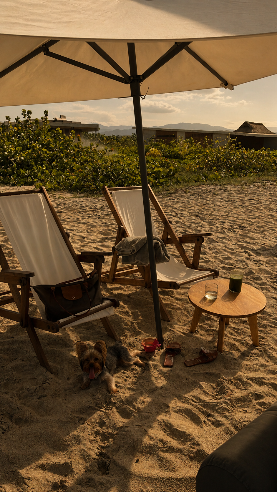 playa2.png