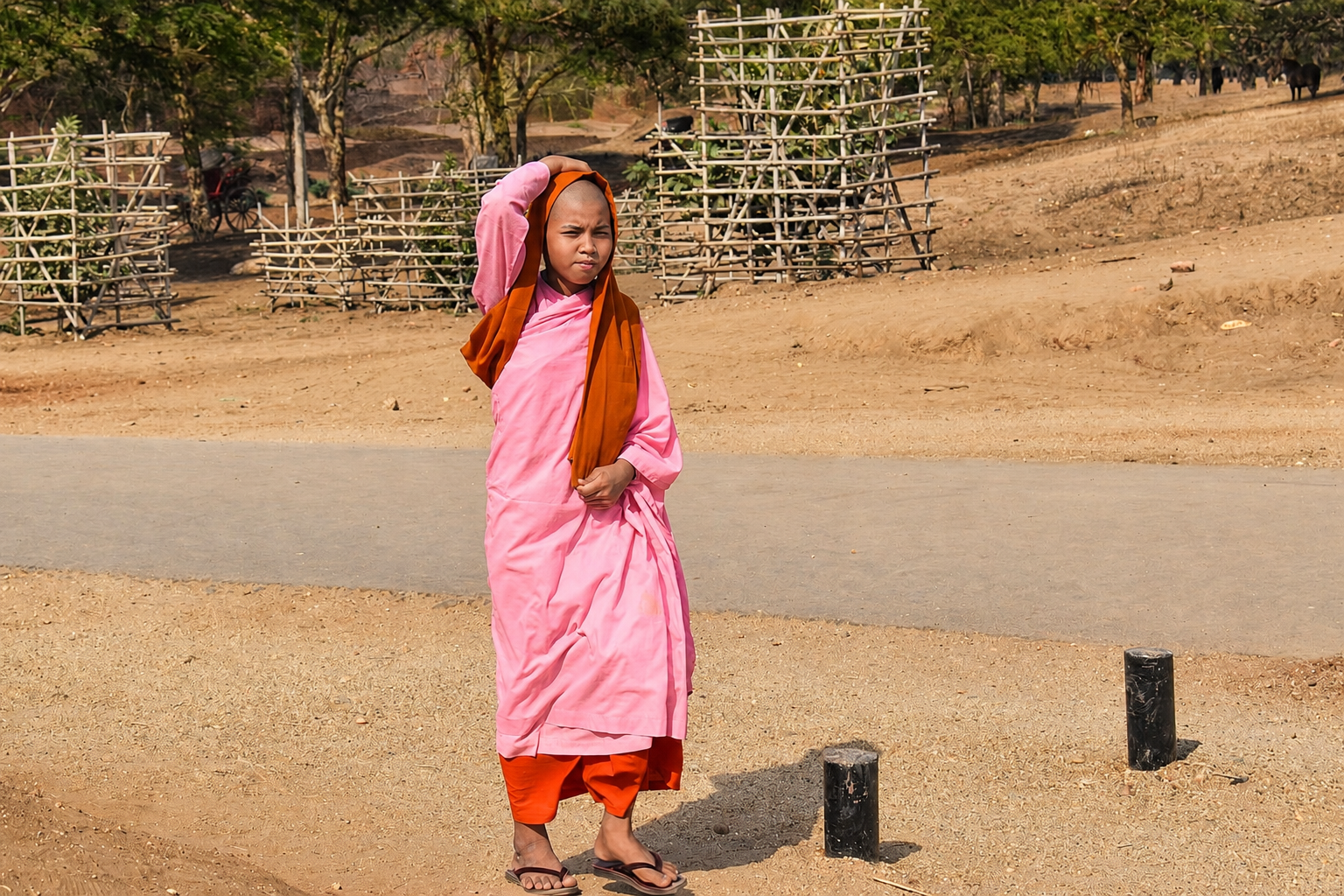 monkmyanmar.png