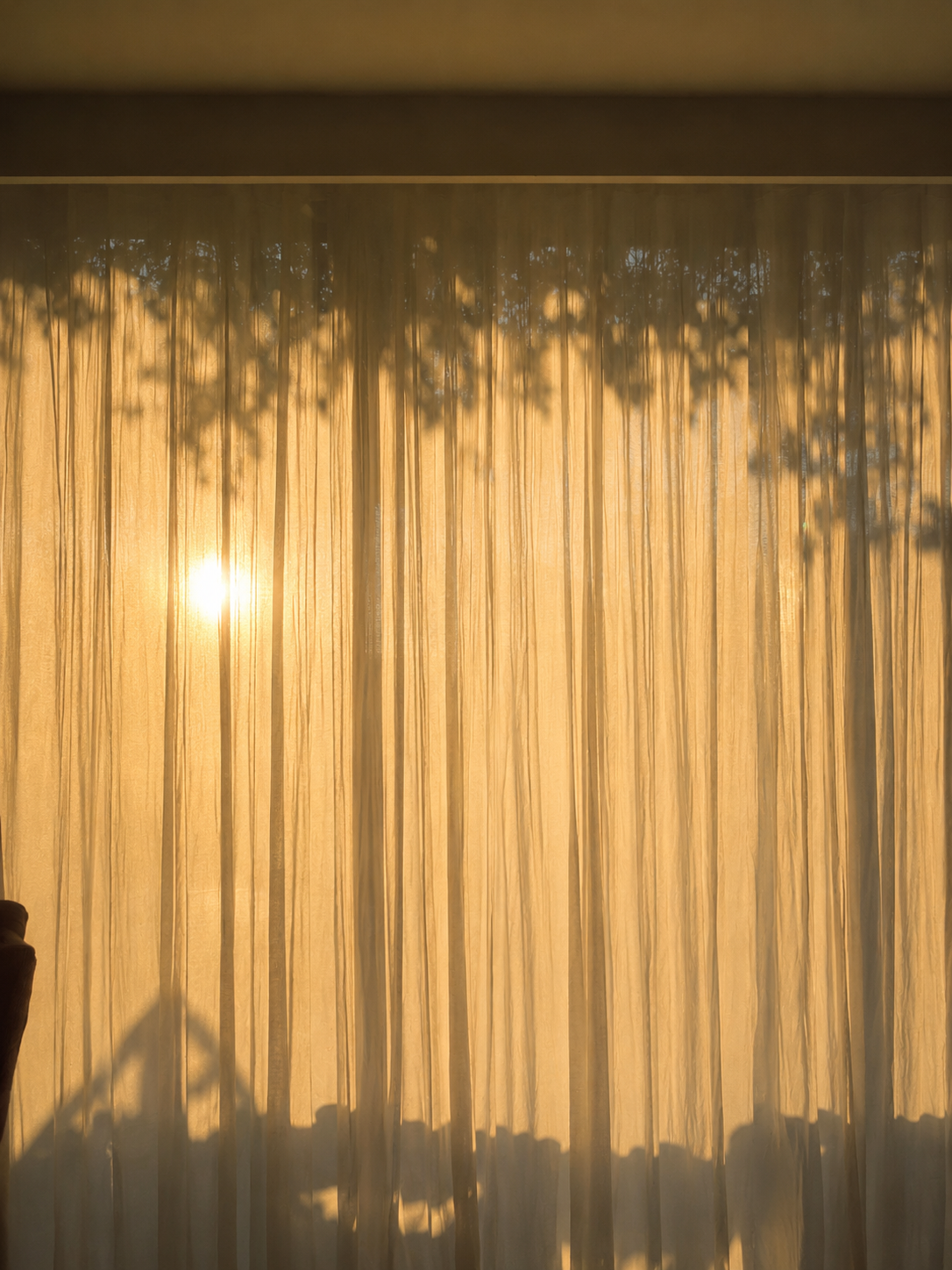 El Arte del Despertar Consciente