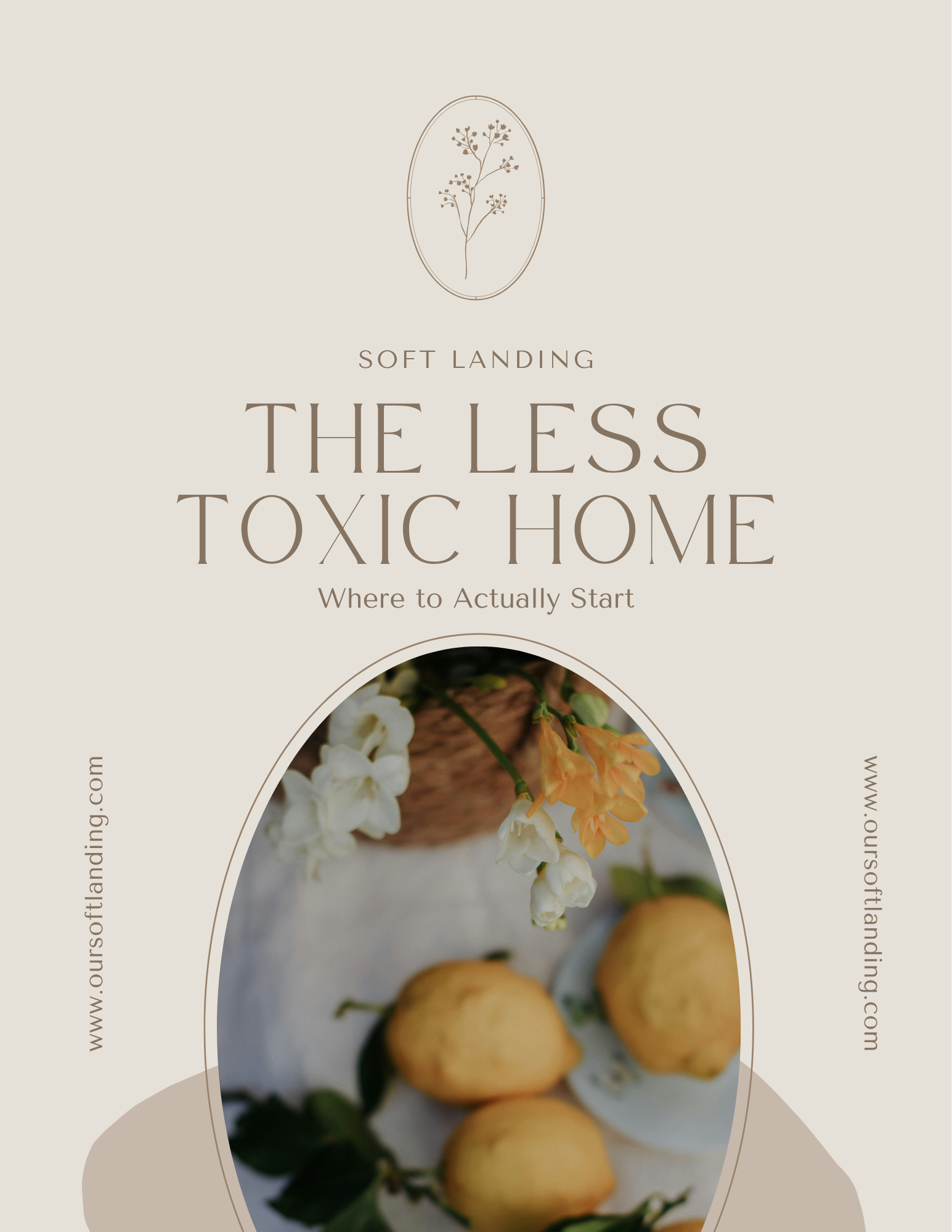 The Less Toxic Home — Where to Actually Start