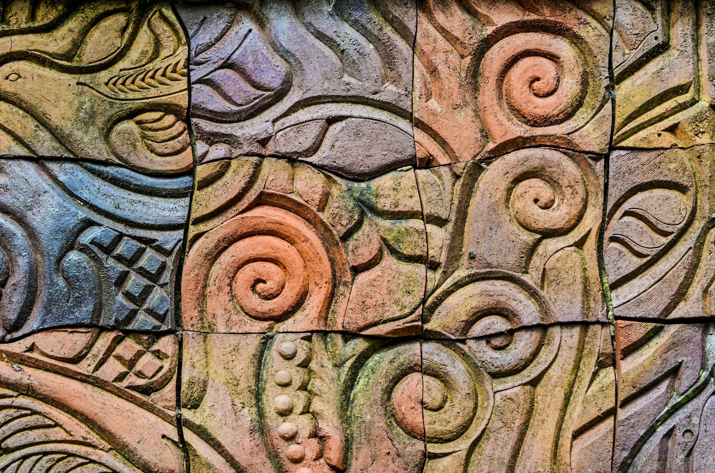 CPAG Policy Brief: Māori Child Health