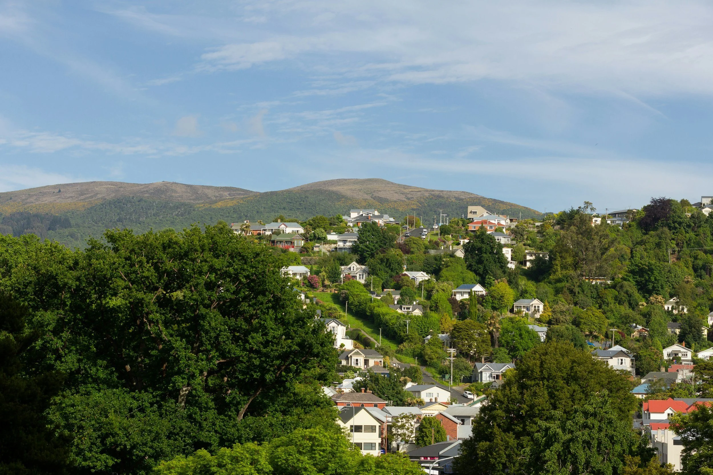 CPAG analysis of affordable rentals shows supply isn't keeping up with population growth