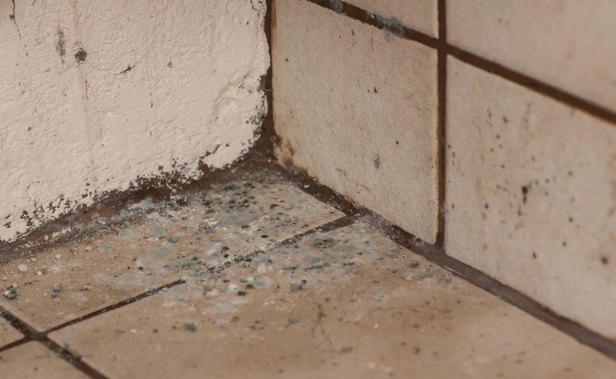 Dilapidated Rental Homes Are a Health Hazard for Children