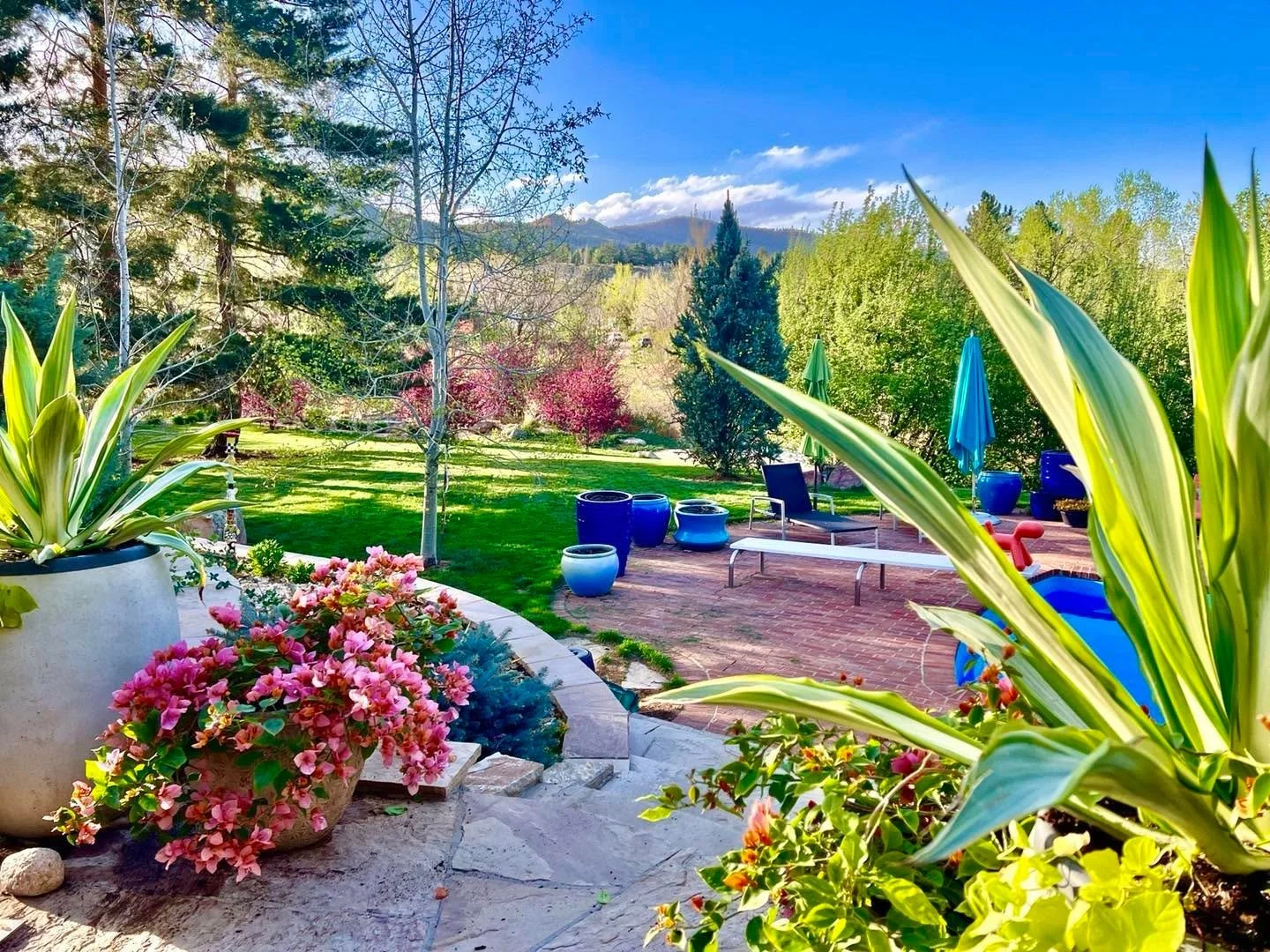 Colorado Foothills Spring
