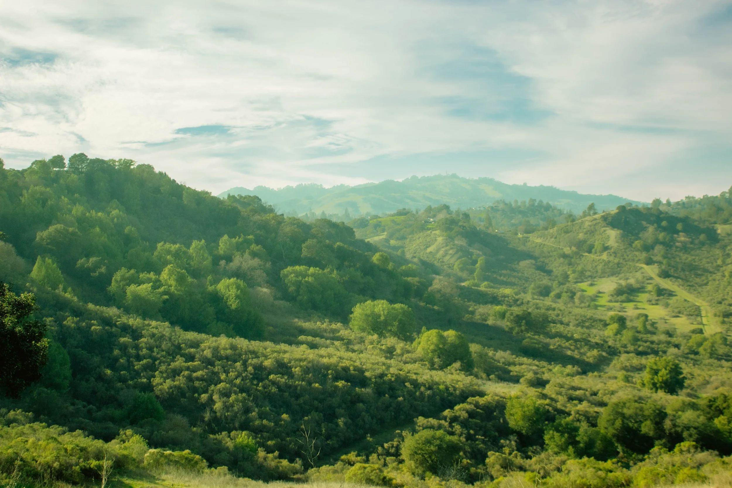Scenic view of green rolling hills covered in trees, with a partly cloudy sky overhead.