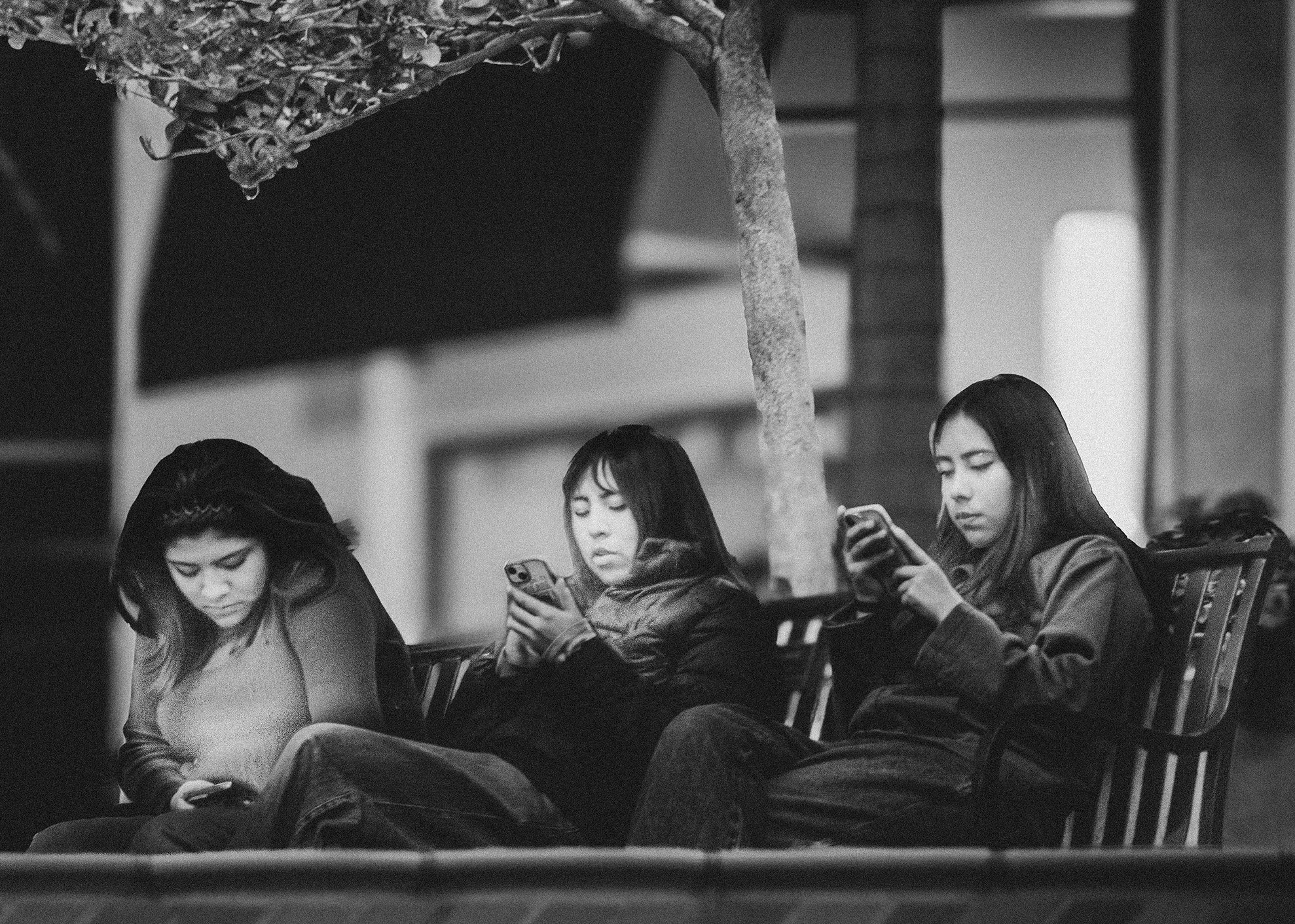 Four young women sitting on benches at an outdoor venue, all engaged with their smartphones, with a central tree and building in the background.