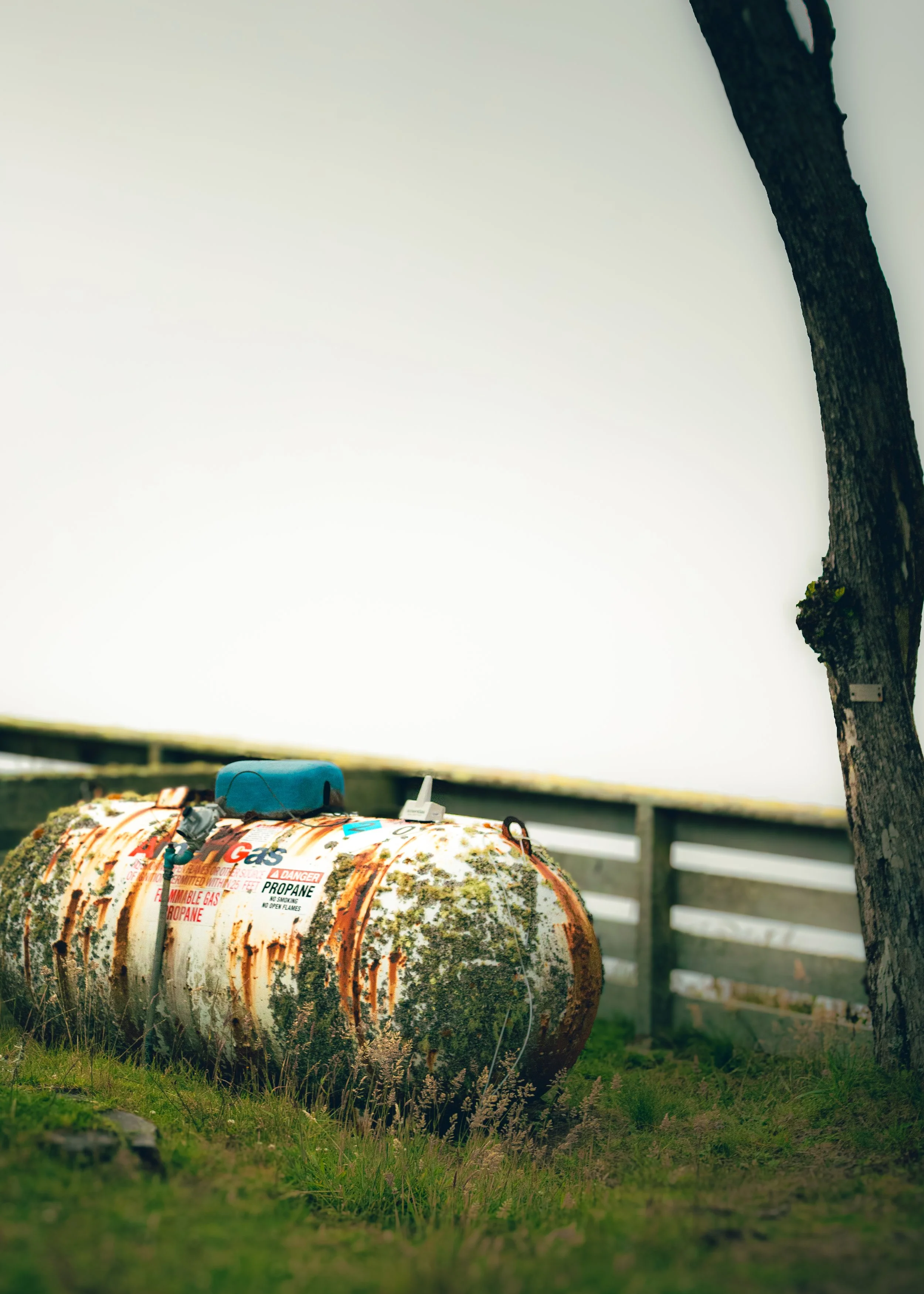 A rusty propane tank lying on the grass near a tree with a white fence in the background, overcast weather.
