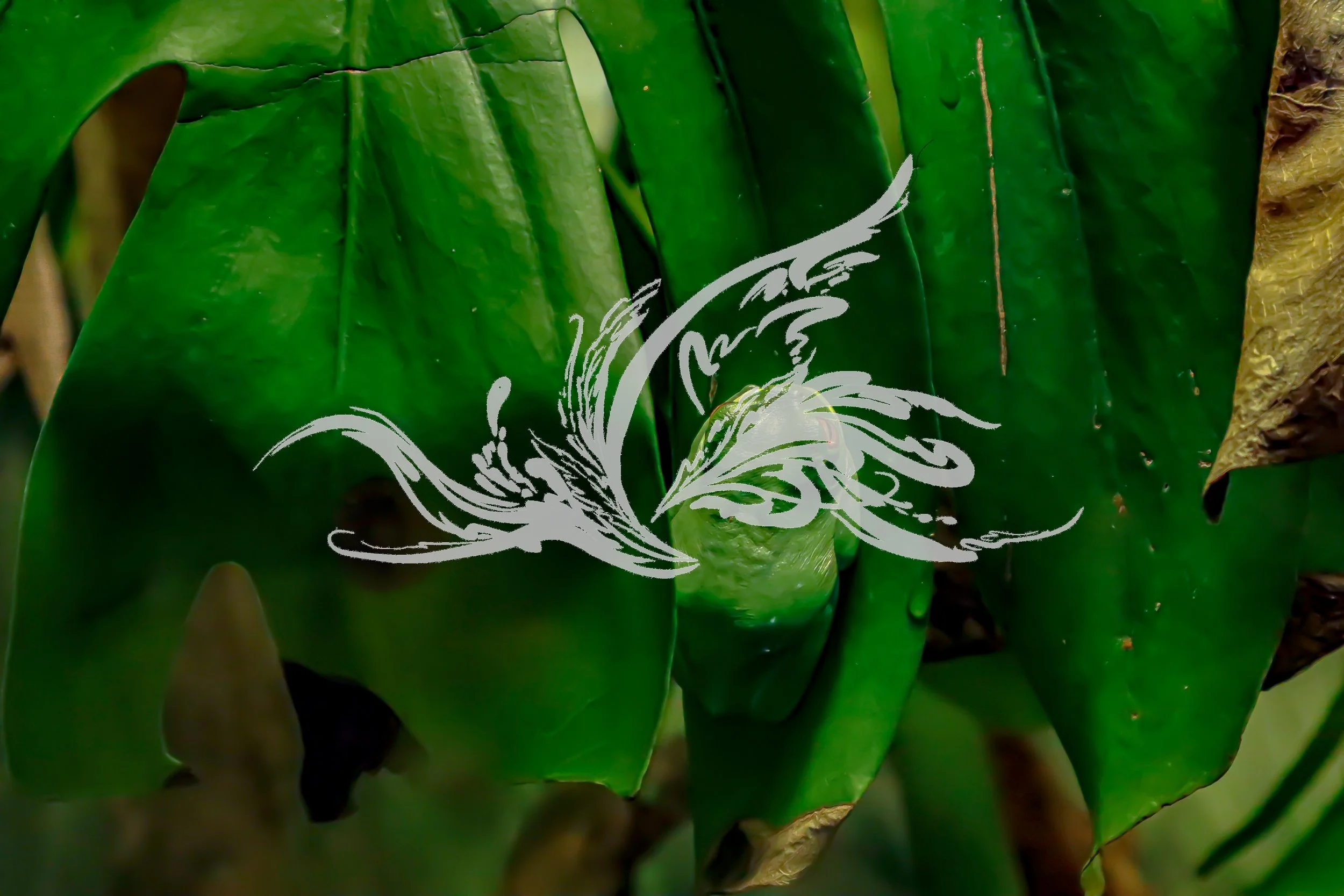 Close-up of green bell peppers with a white decorative butterfly design overlay.