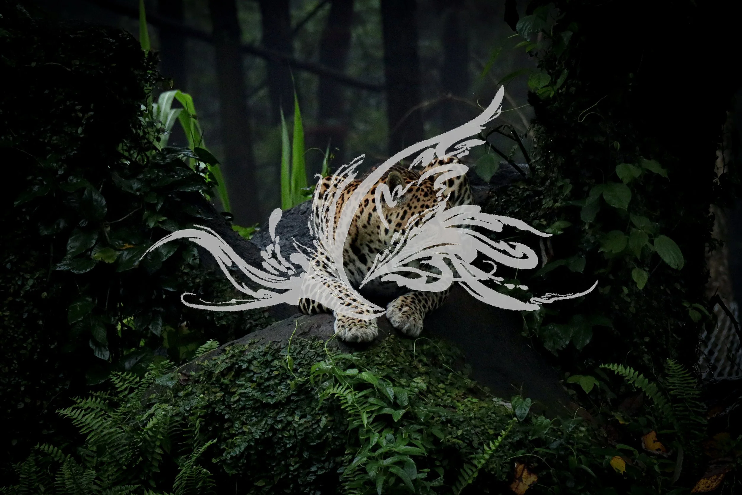 A jaguar resting on a branch in a dense jungle, with lush green foliage surrounding it and a dark, misty background.