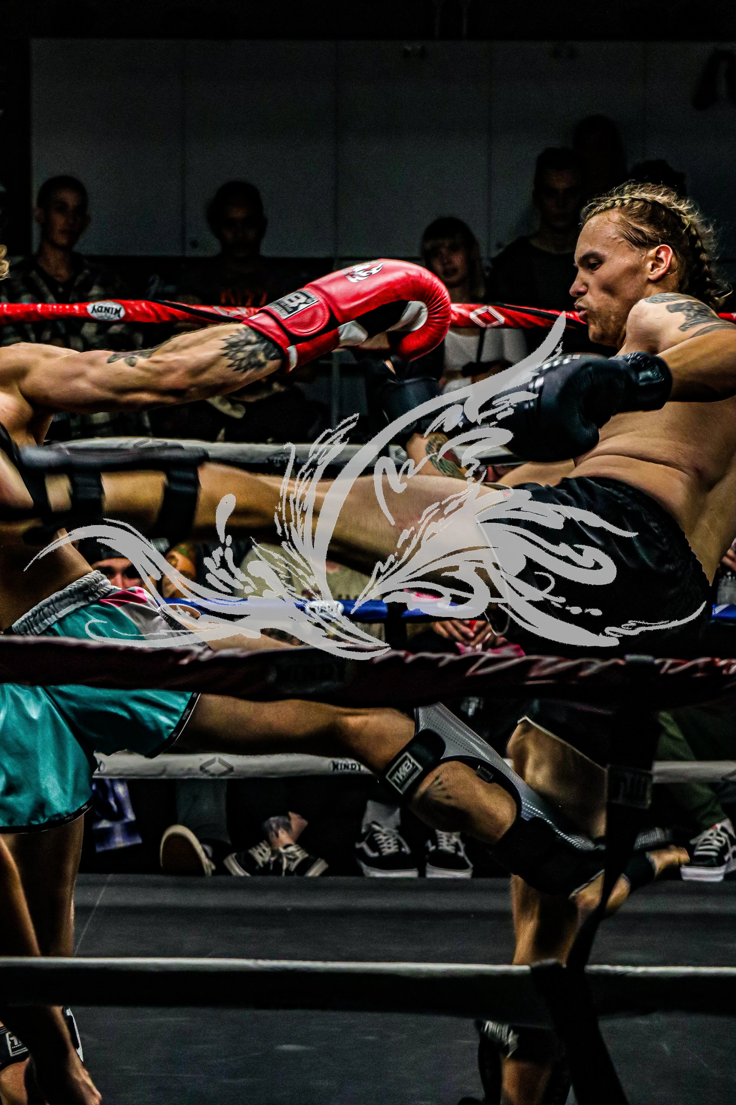 A boxer is delivering a punch to an opponent inside a boxing ring, with a few spectators watching in the background.