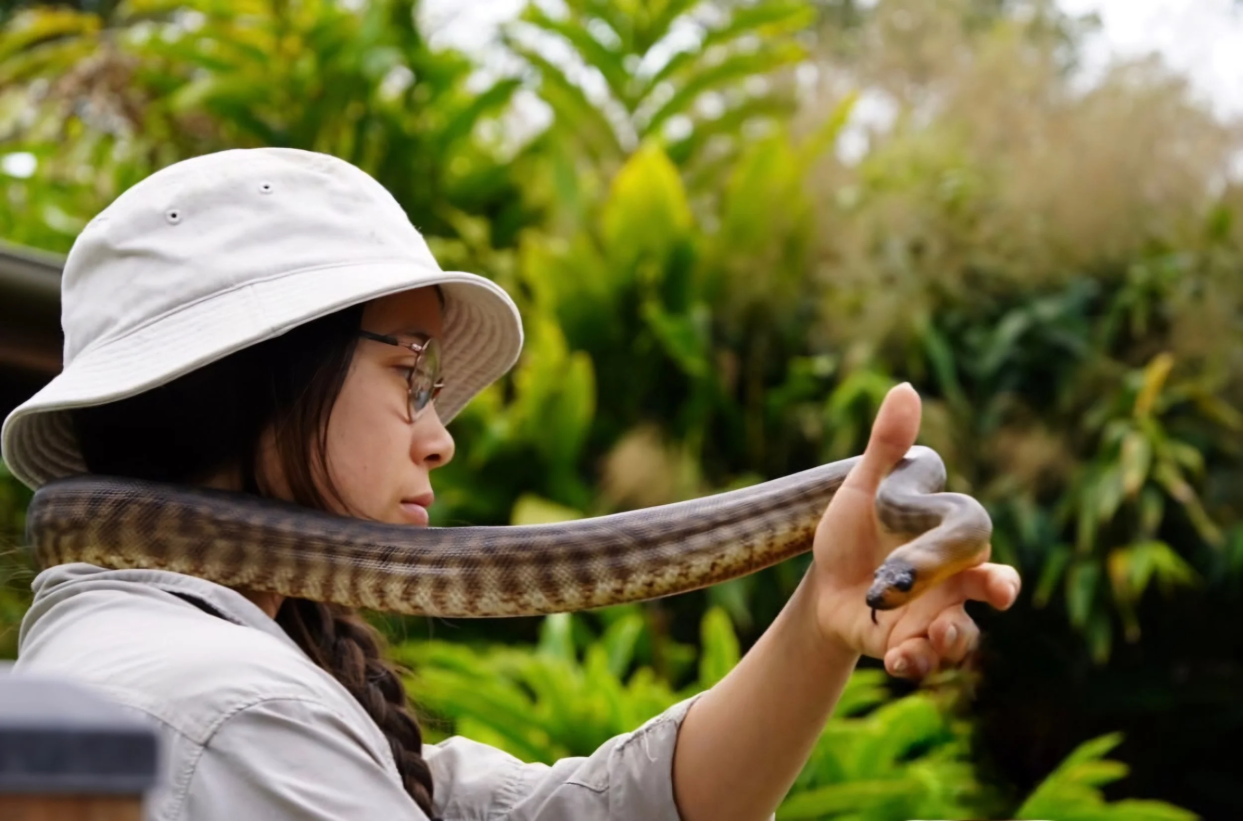 Priscilla Uren holding a Woma Python while hosting the 'Reptiles Live' talk/demonstration at Australia Zoo.