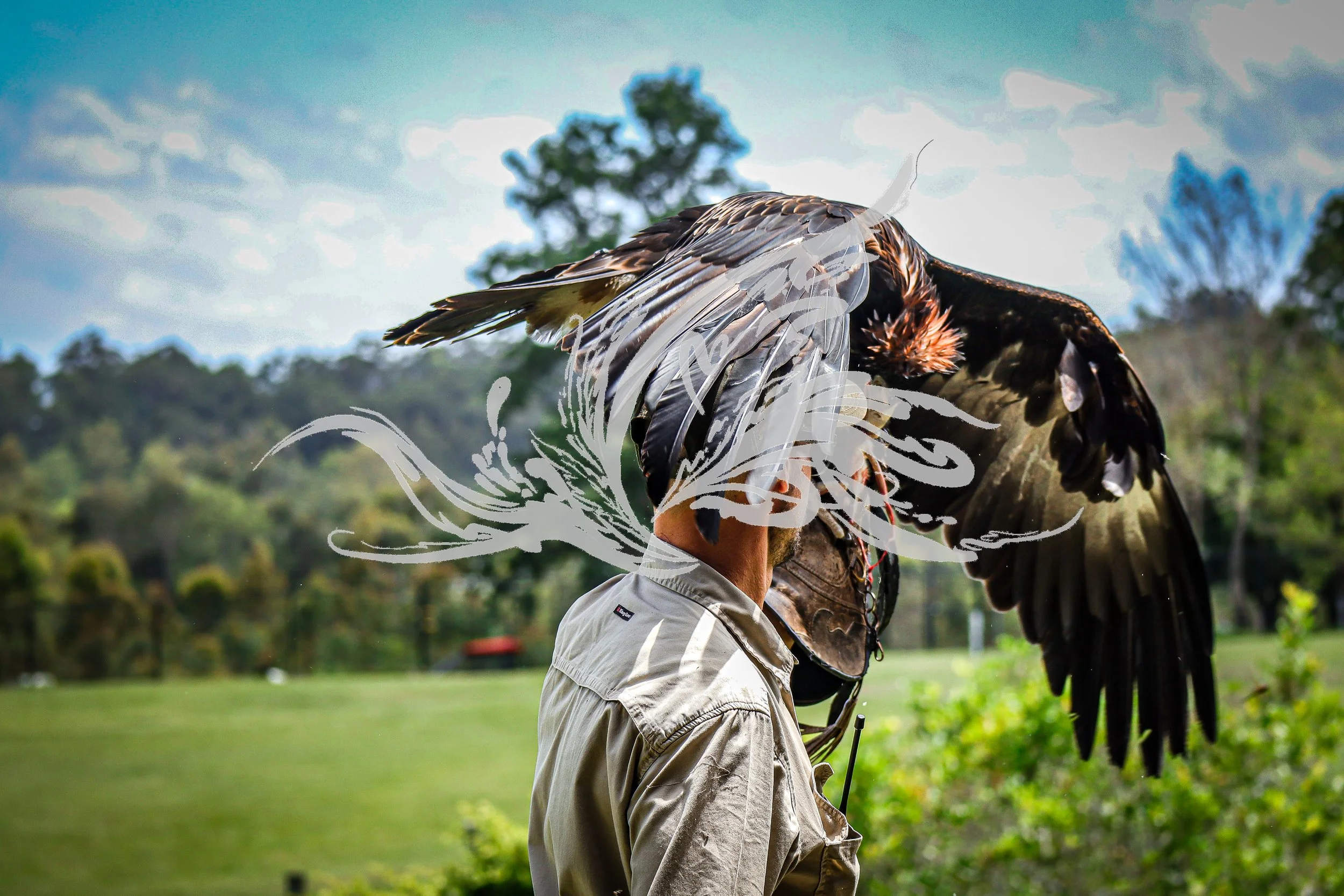 A man in a khaki shirt holding a large bird of prey, possibly a falcon or hawk, on his arm with a harness and glove, outdoors with greenery and trees in the background.
