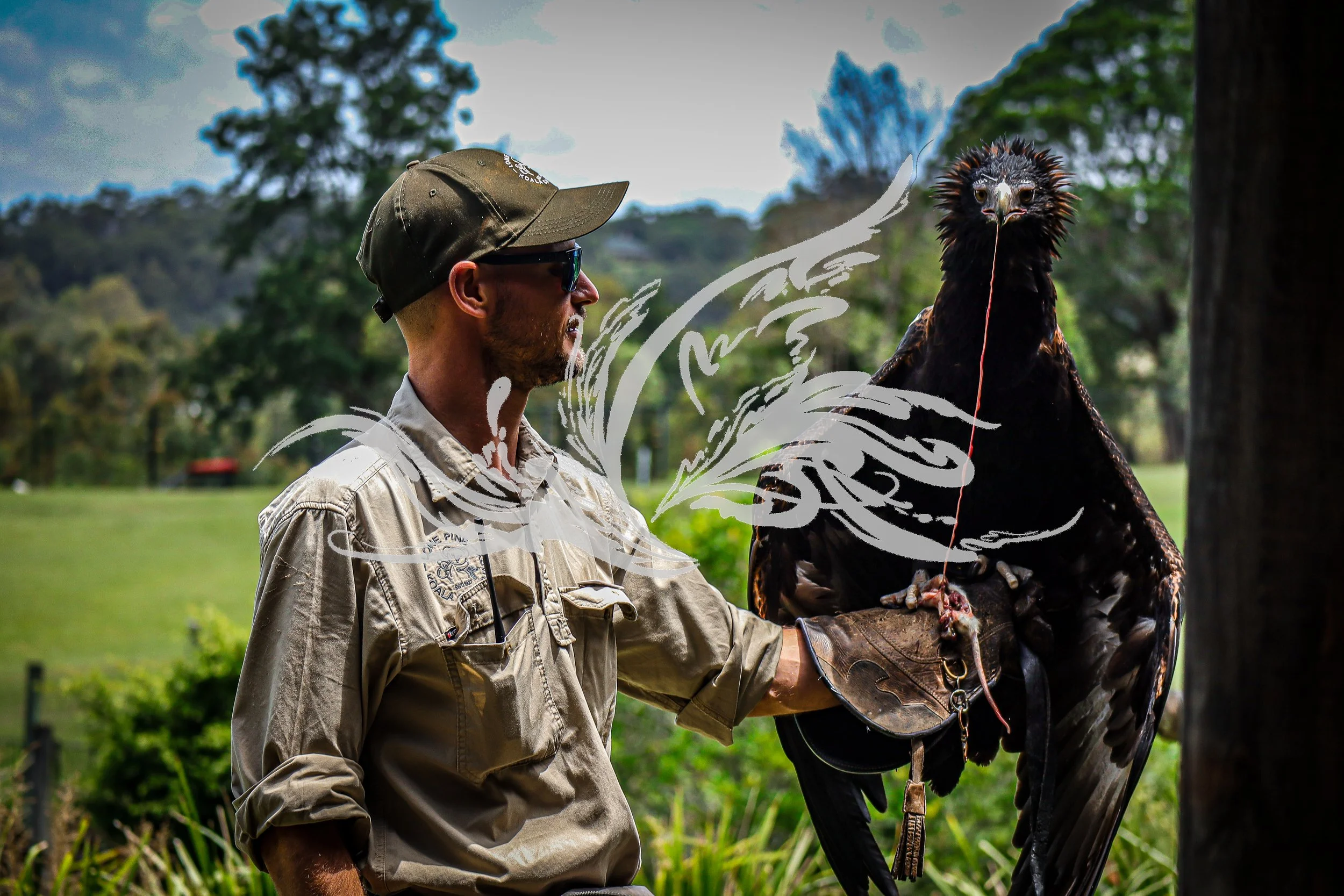 A man in outdoor clothing holding a large bird of prey with a dark beak and feathers, set outdoors with trees and greenery in the background.