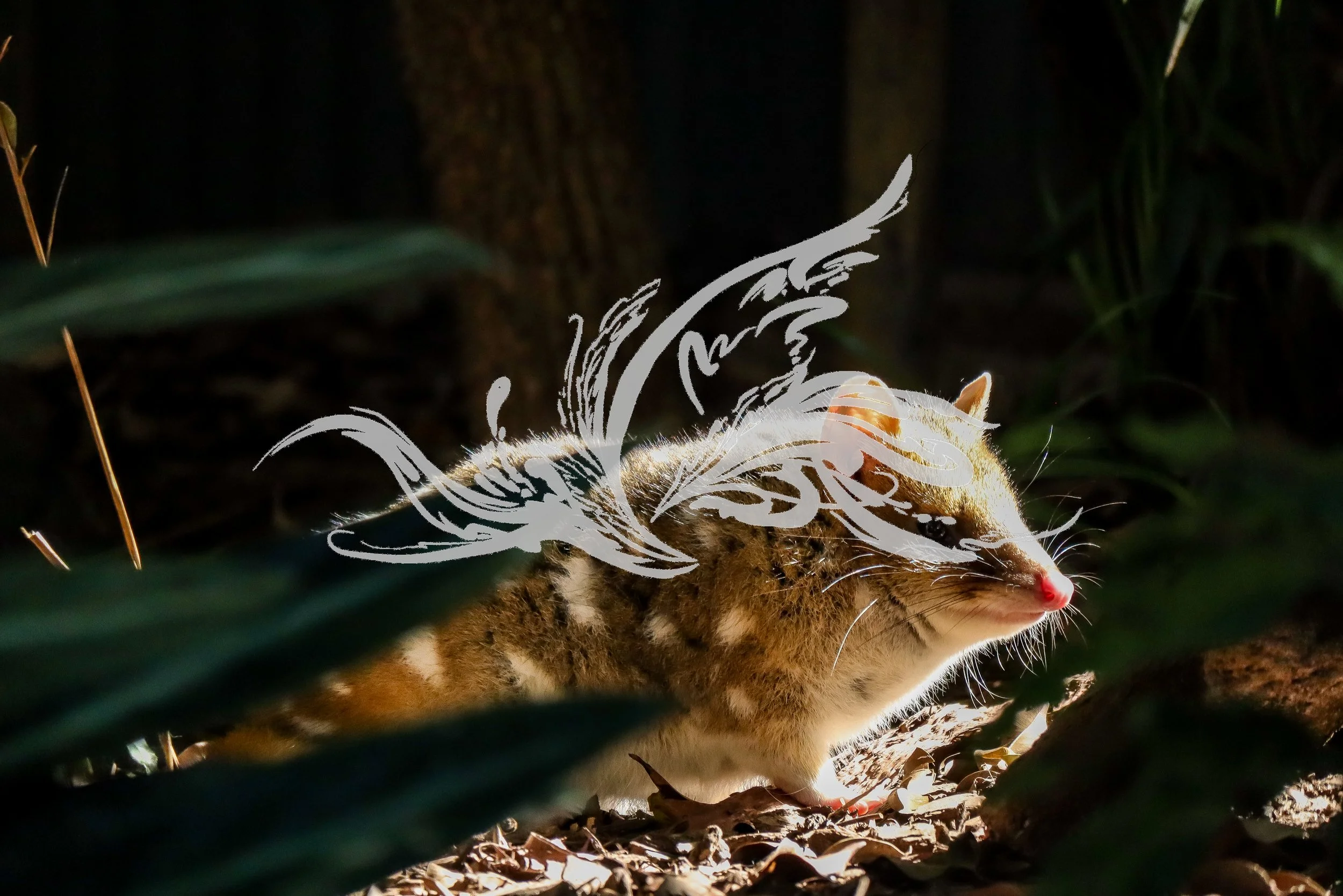 A young tiger cub walking through foliage in a dark environment with light illuminating its face and body.