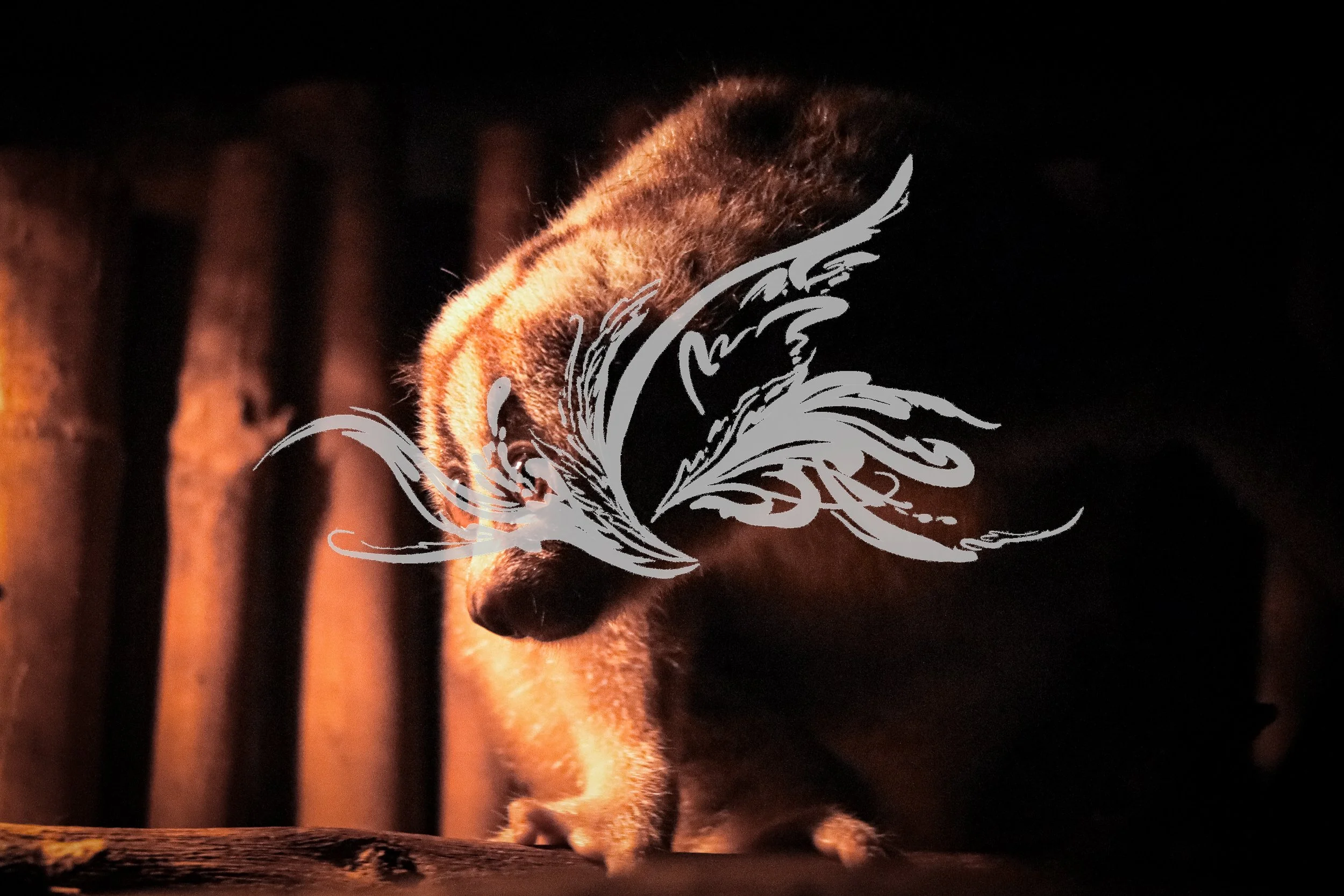 A puppy with a digital white line drawing of a dog's face overlayed on its face, in a dark environment with warm lighting.