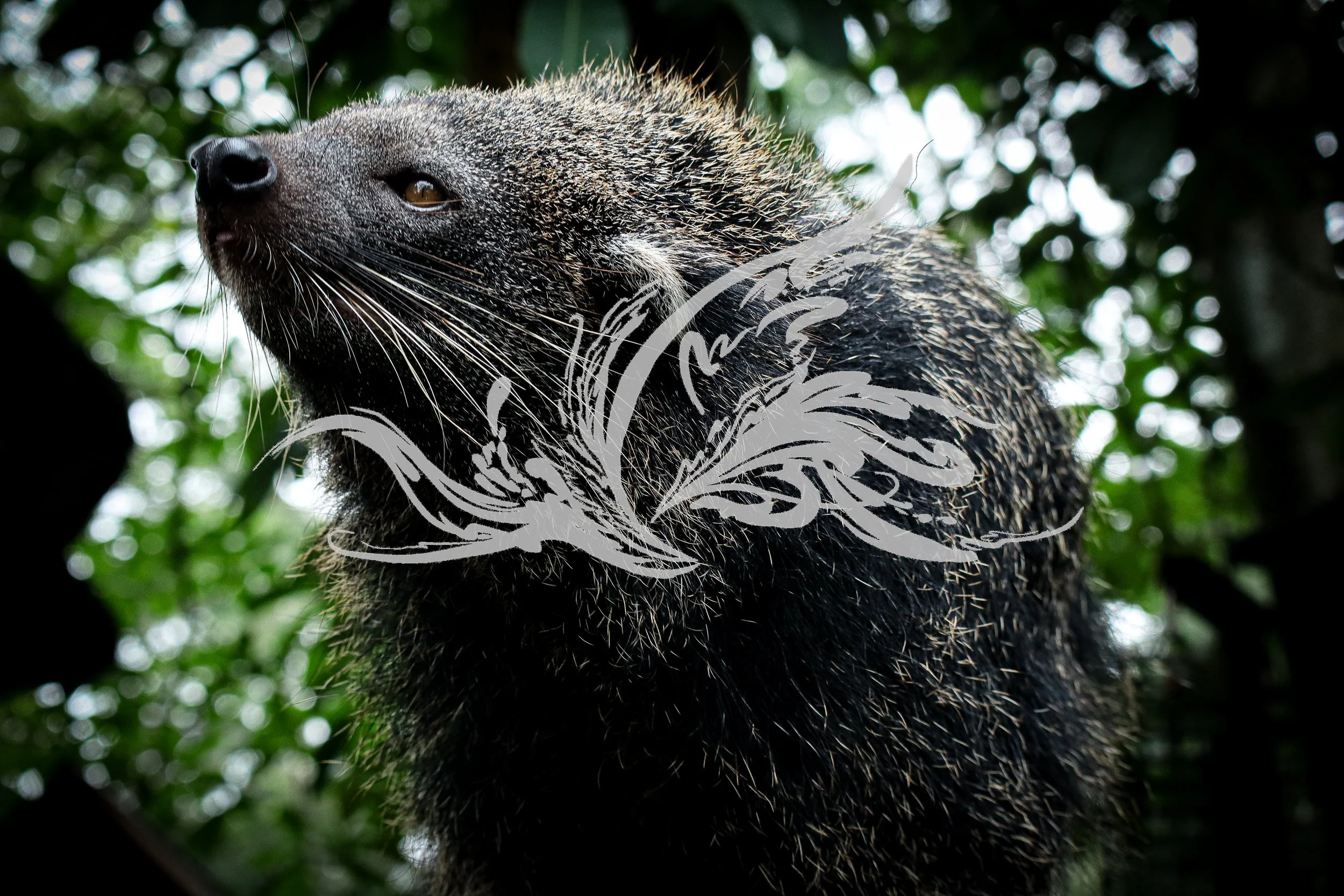 Close-up of a brown and black hedgehog with a pointed snout, set against a background of green leaves and bokeh lights.