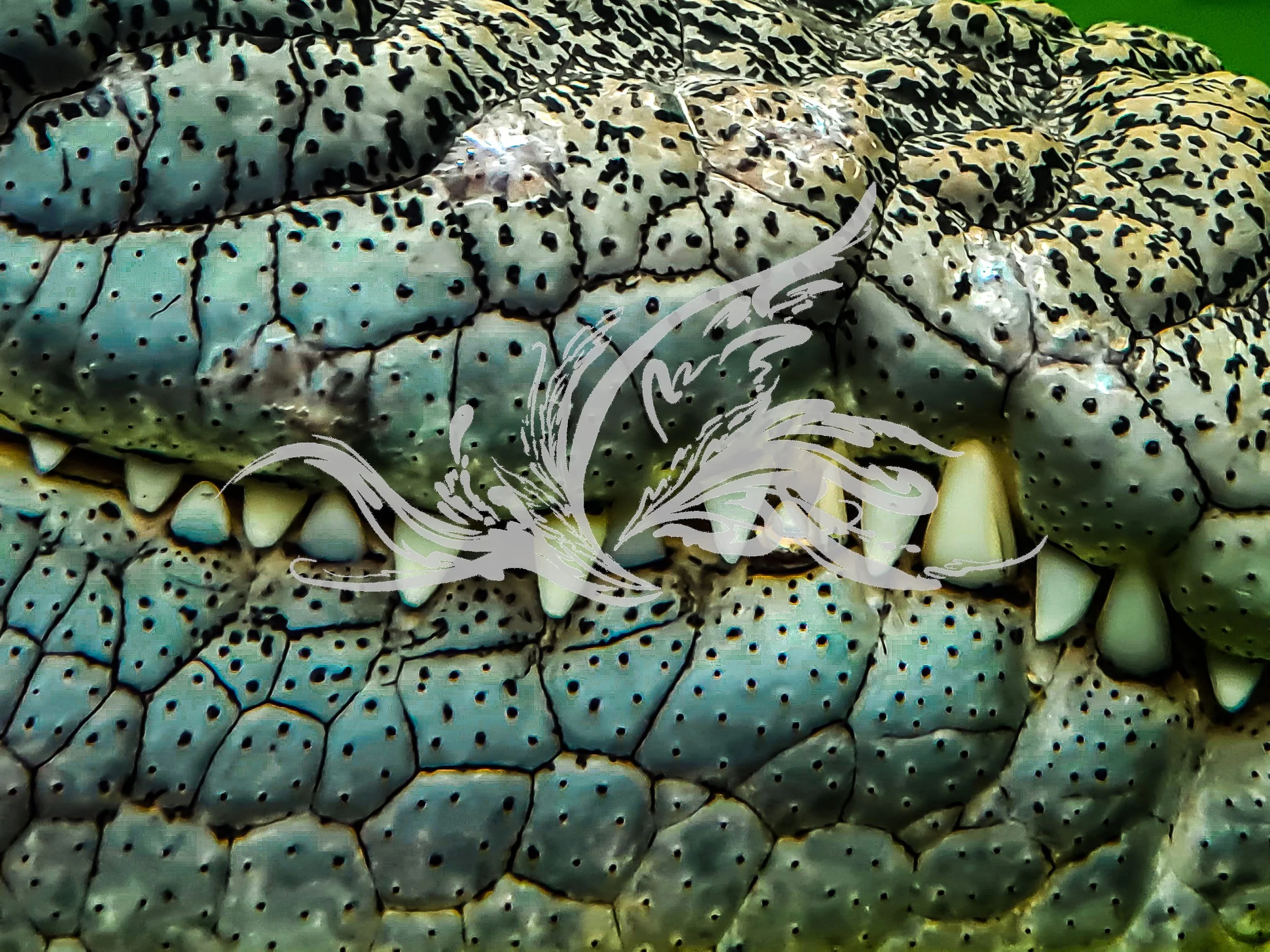 Close-up of a spotted reptile, possibly a gecko, with black and red markings on its body, resting on a surface with reptilian patterned skin.