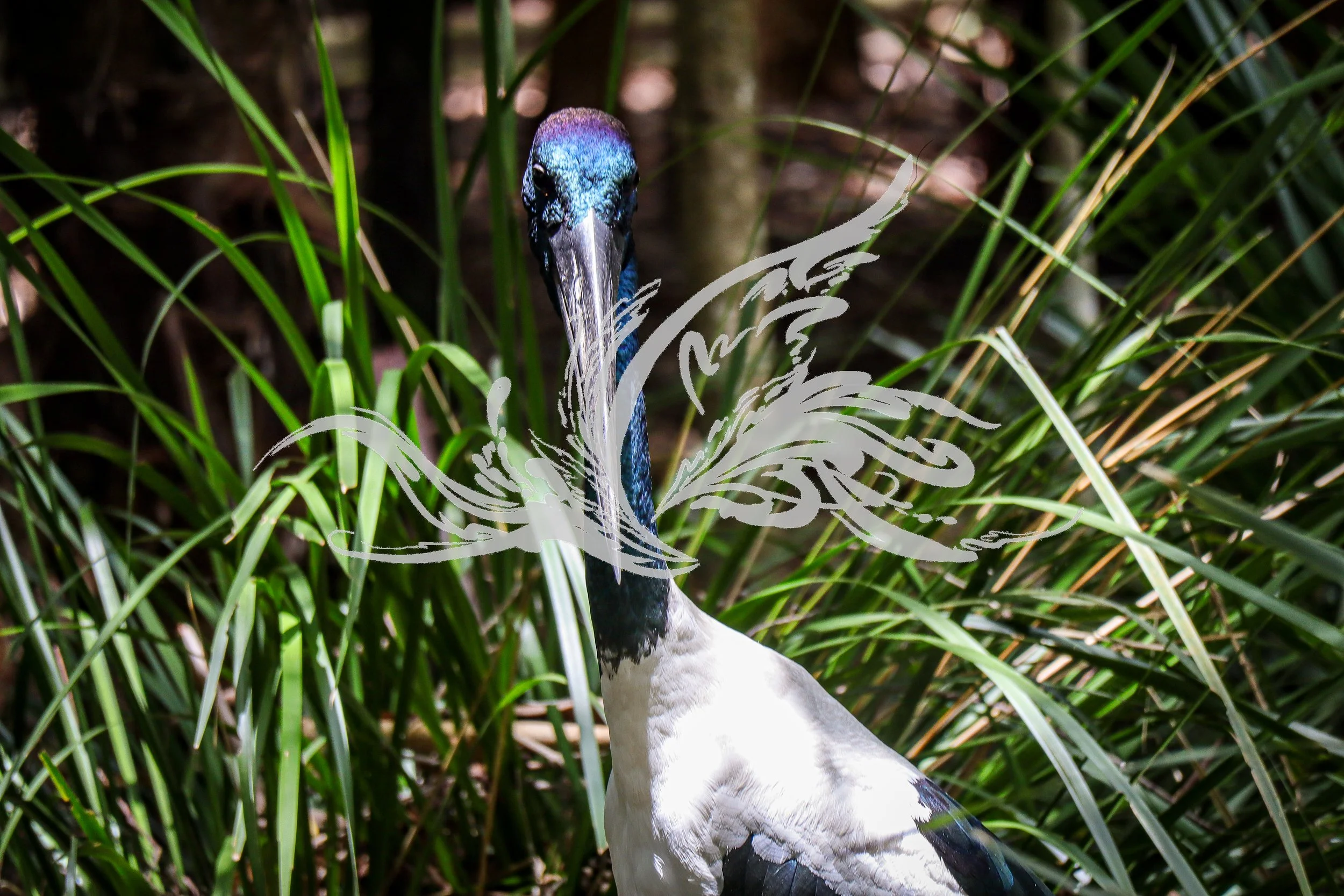 A colored bird among green reeds.