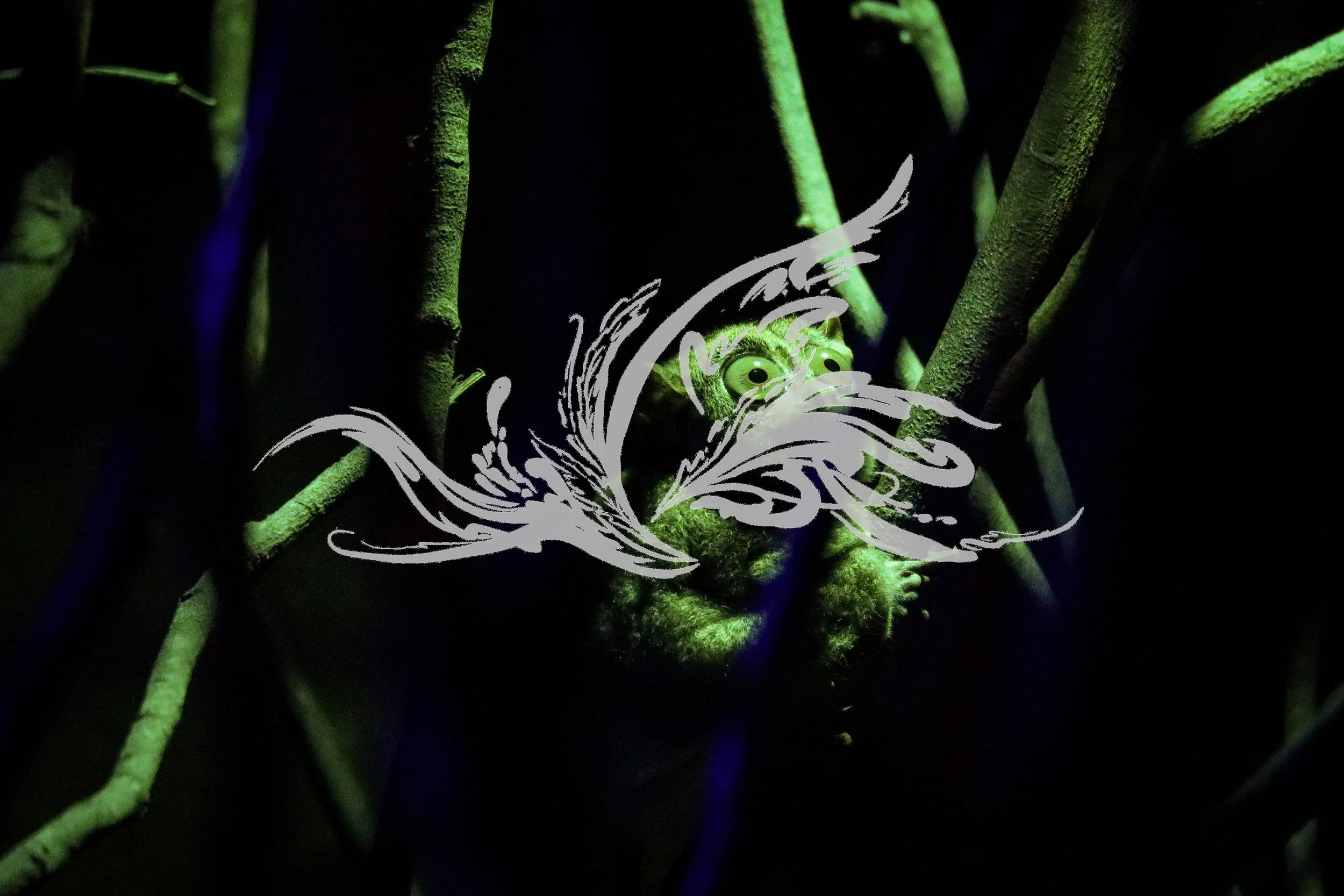 A close-up of a small animal, possibly a frog or gecko, among green branches with a white butterfly illustration overlay.
