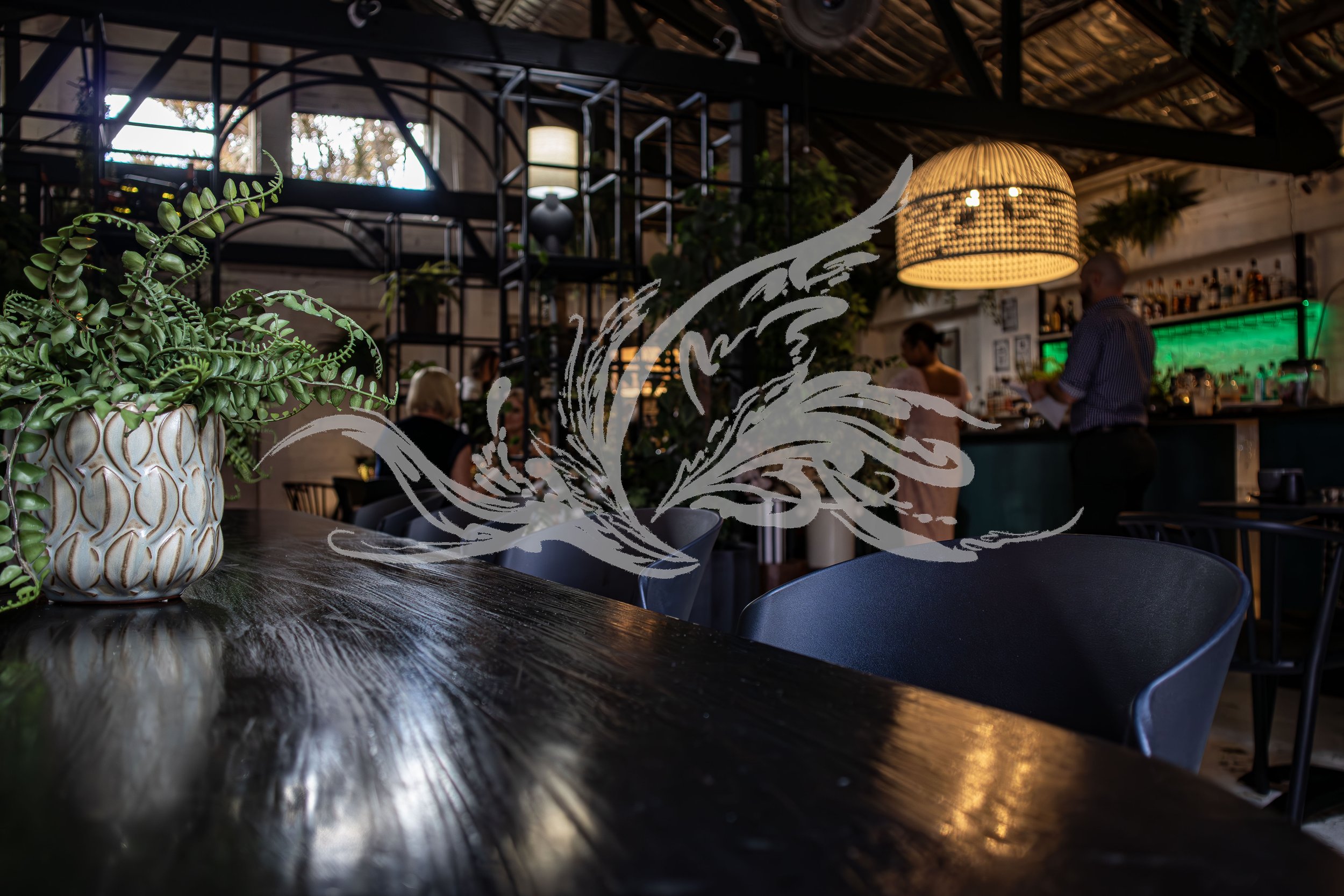 Indoor restaurant with a potted plant in the foreground, people dining inside, bar area in the background, warm lighting, and large windows letting in natural light.