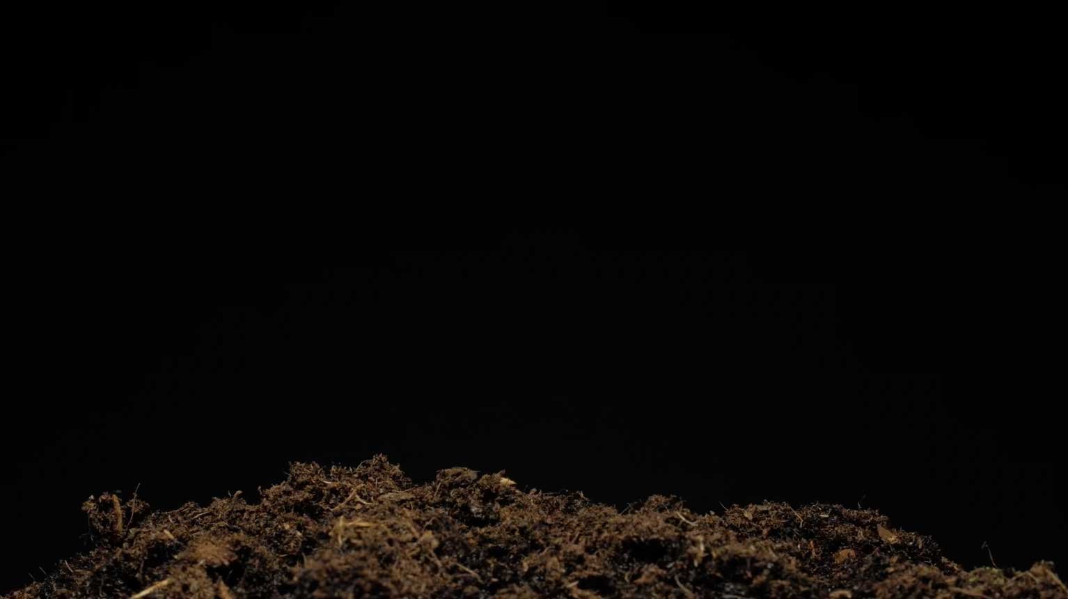dirt.jpg