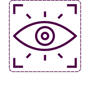 Icon of a human eye within a square, with lines radiating outward and corner markings, symbolizing vision or surveillance.