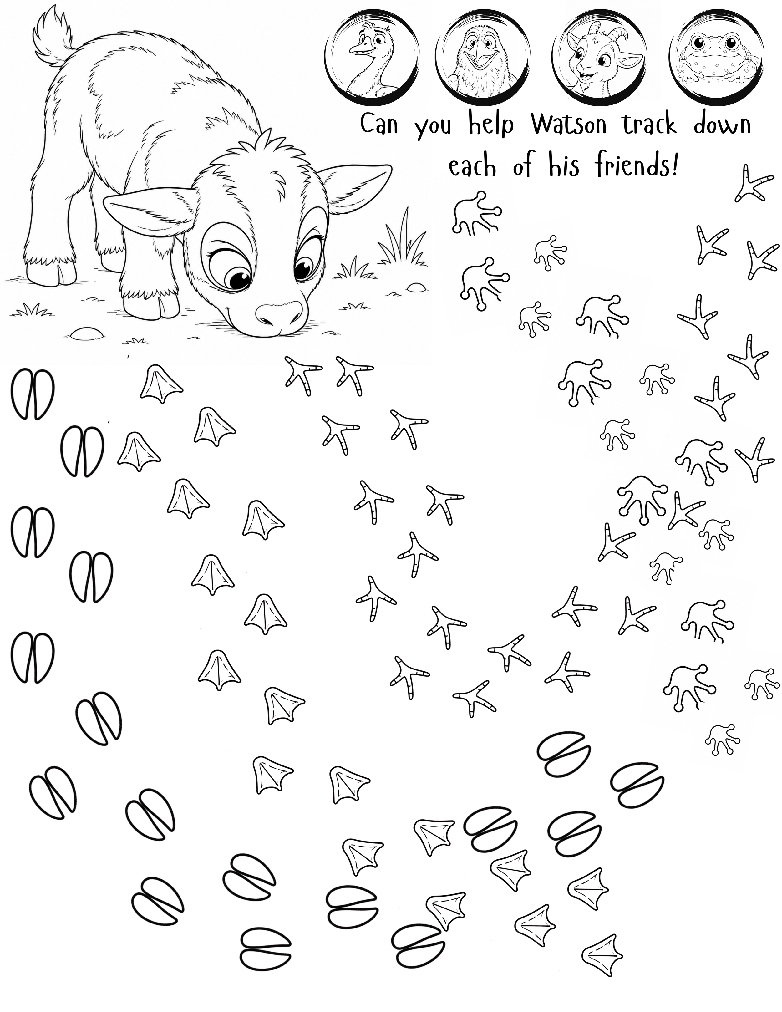 Watson Tracking Activity Sheet From Animals On The Loose