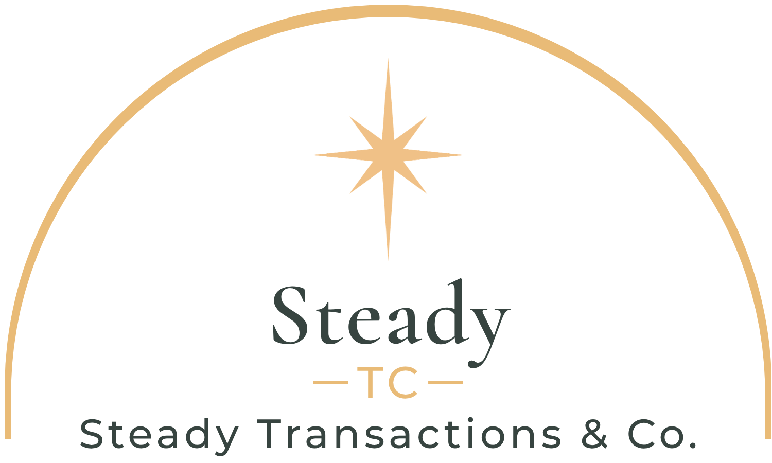 Steady Transactions &amp; Co.
