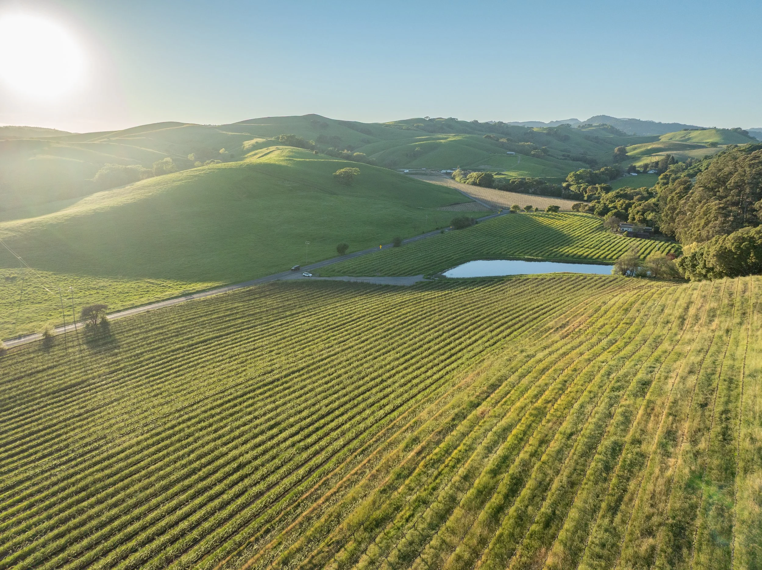 DJI_0739.jpg