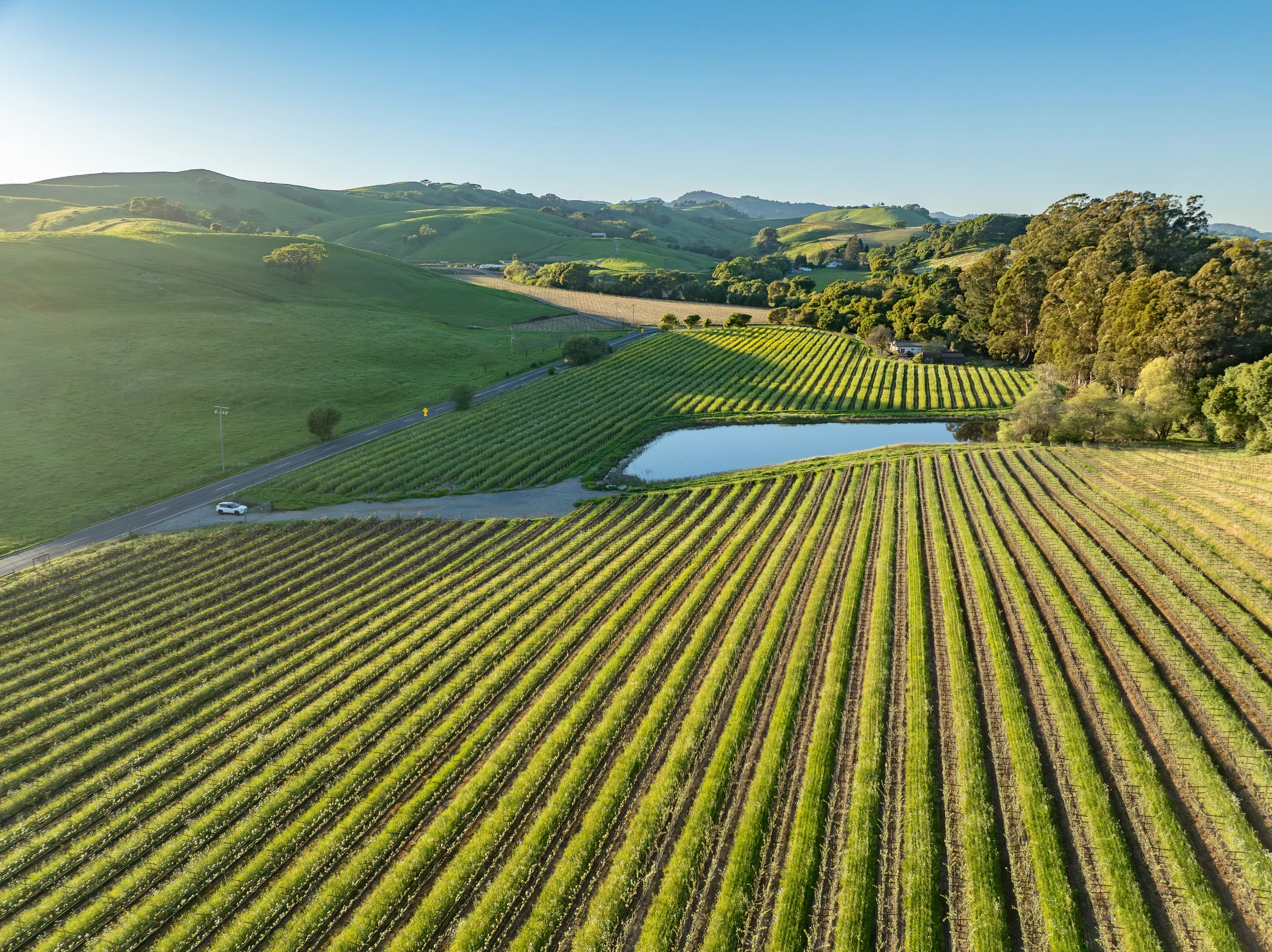 DJI_0732.jpg