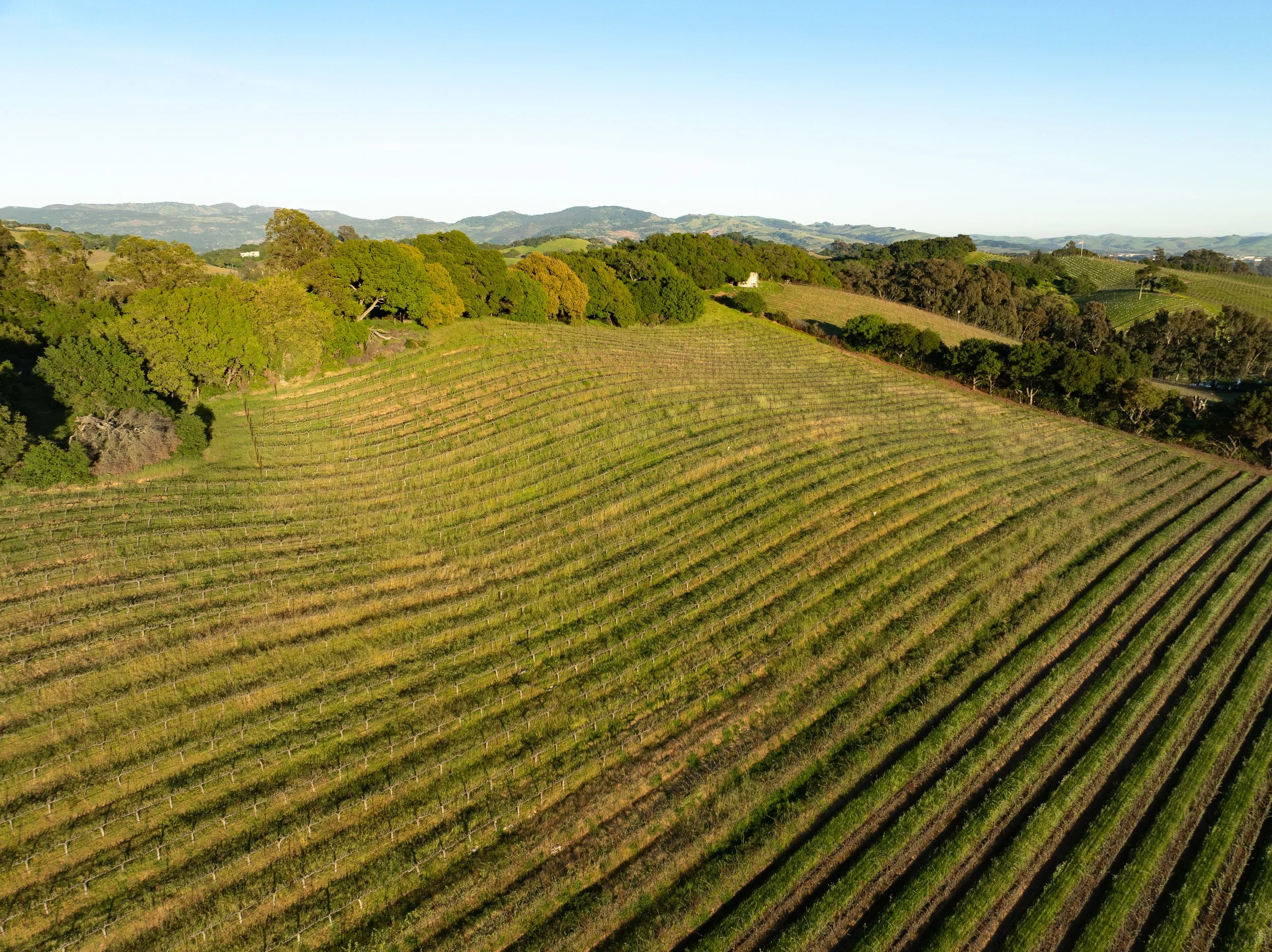 DJI_0747.jpg