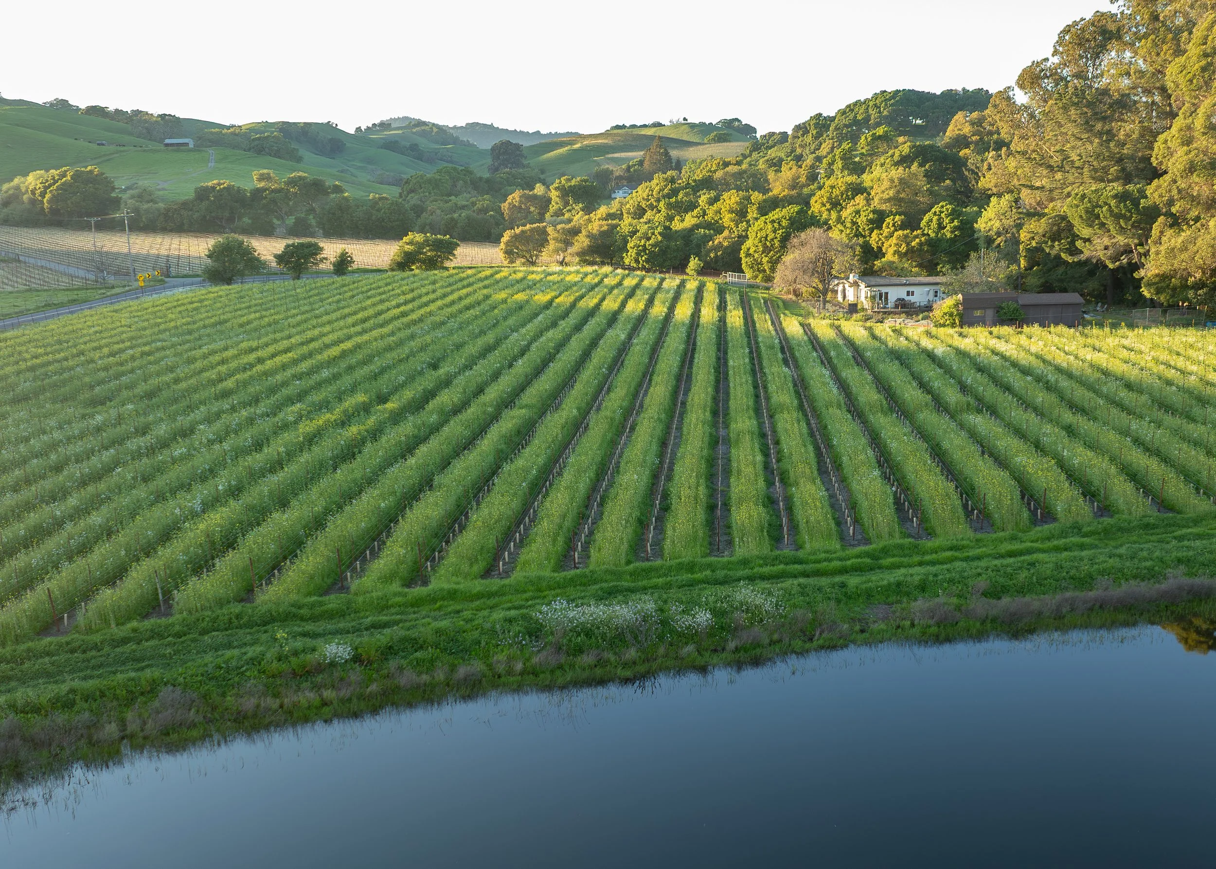 DJI_0748.jpg