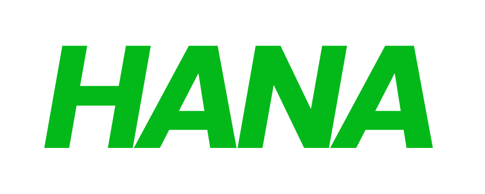 HANA NY LLC
