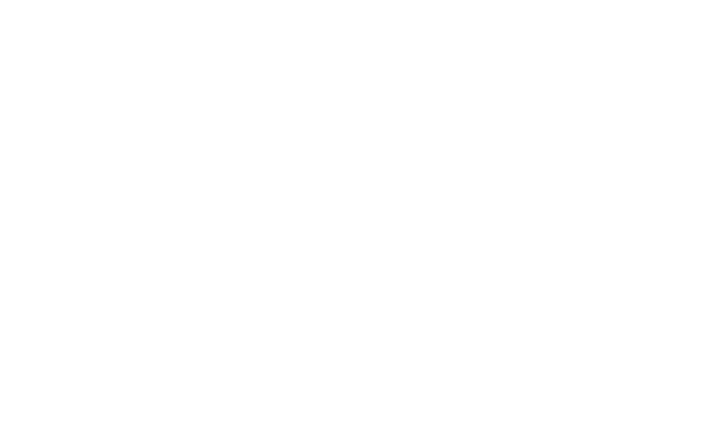 The Absorption Company