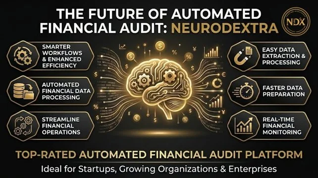 Financial audit platforms