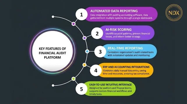 Financial audit platforms