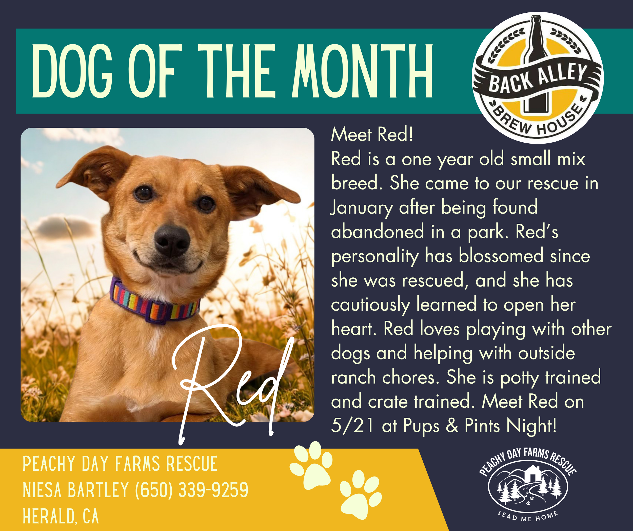 Dog of The Month